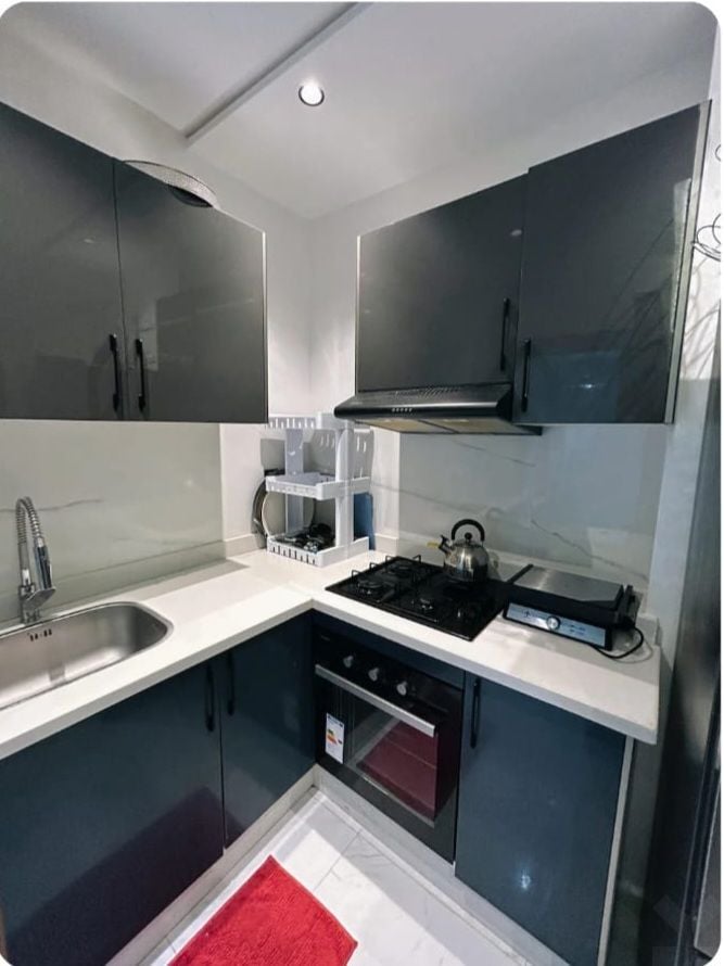 Appartement 44 m² à La Cite — 11