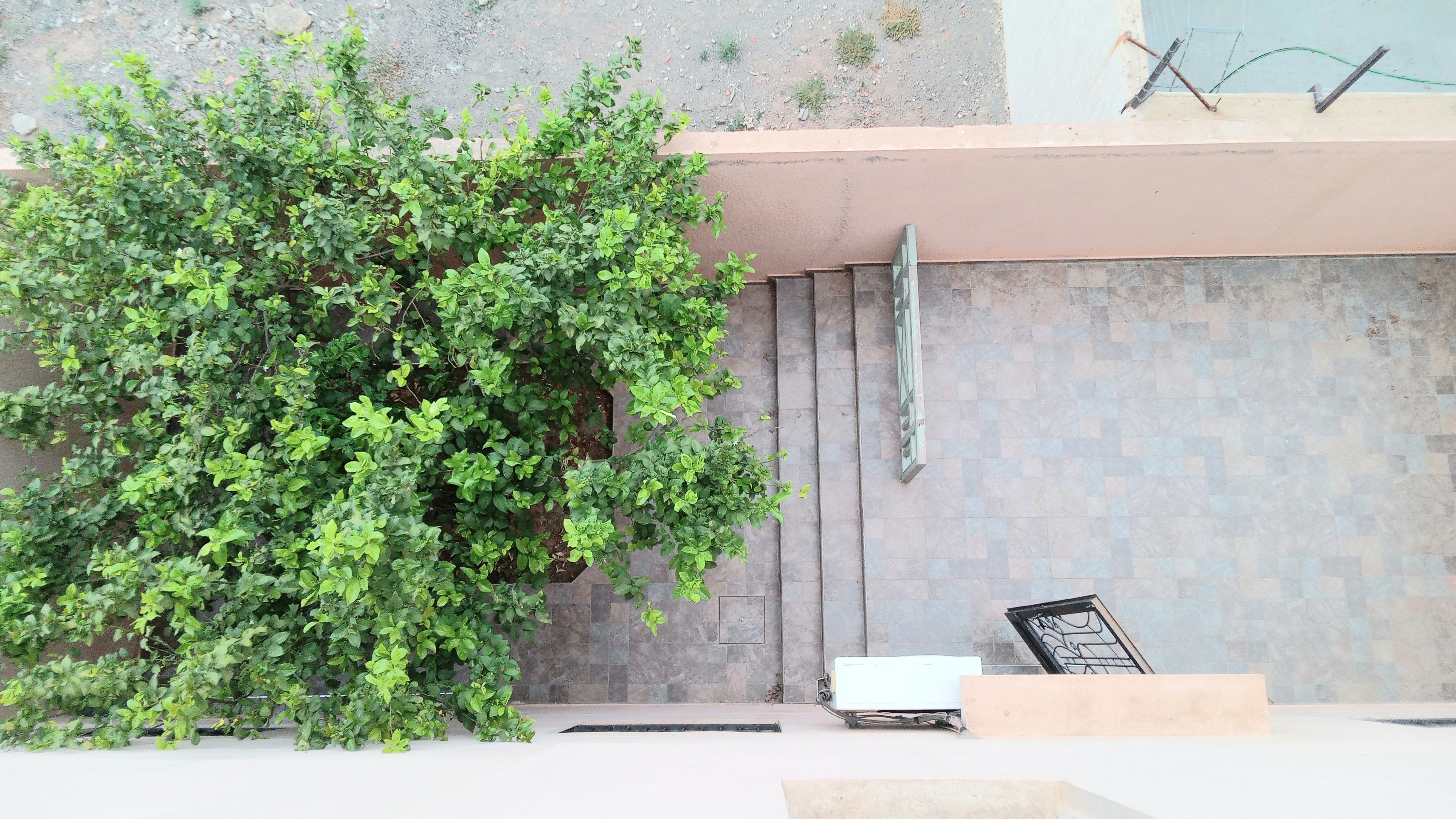 Villa 240 m² à Targa — 22