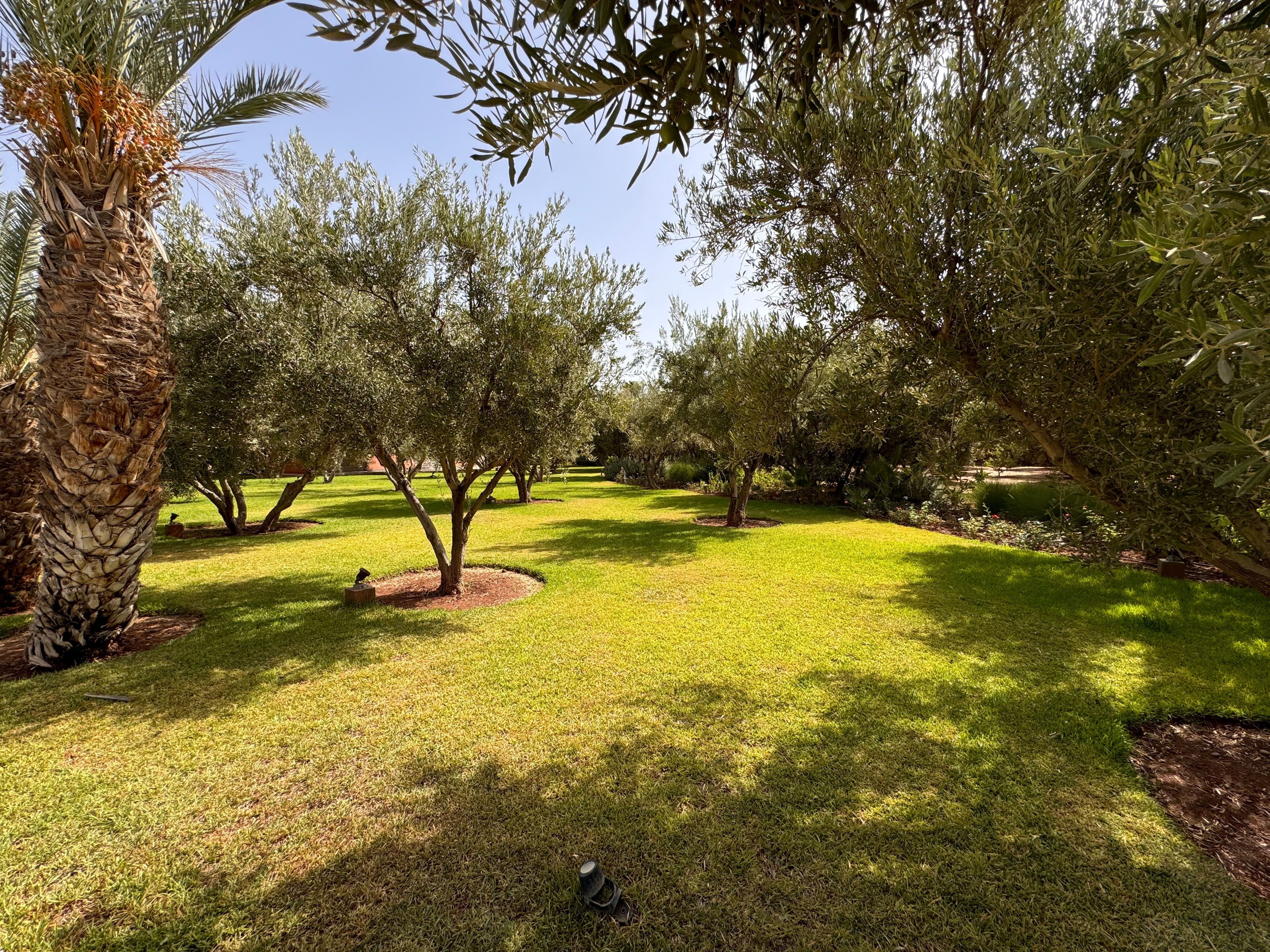 Villa 10000 m² à Route De L'Ourika (Sidi Abdellah Ghiat) — 21