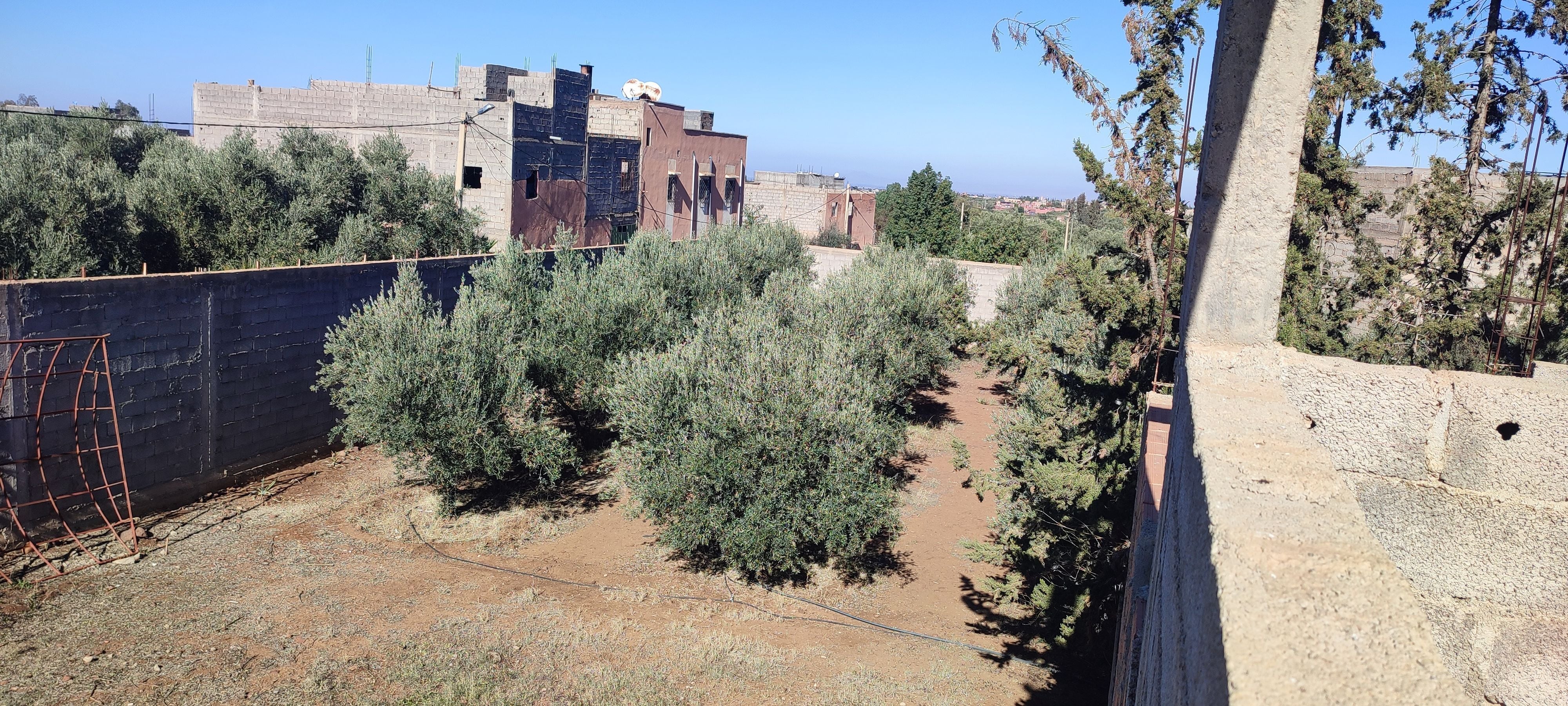 أرض — Marrakech — 4