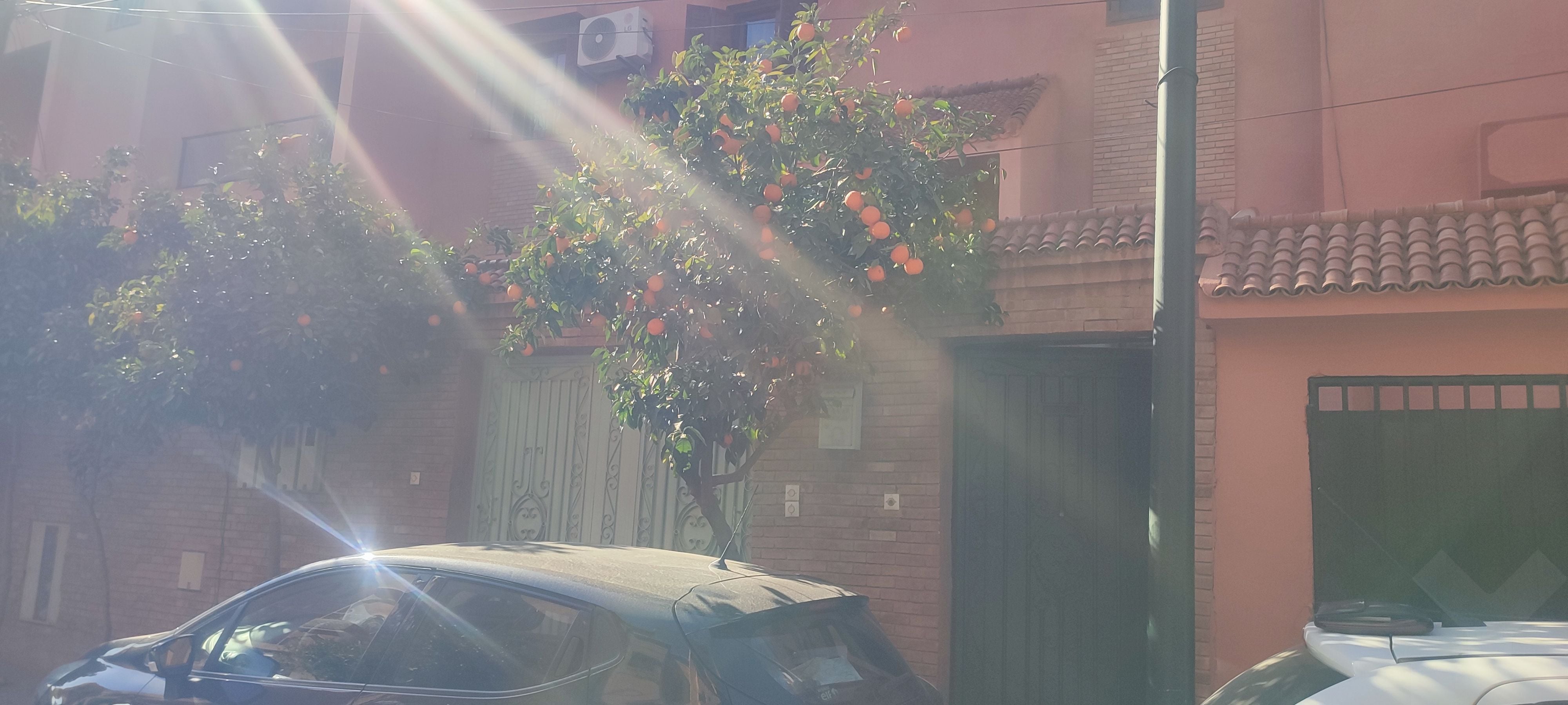 شقة — Marrakech — 5