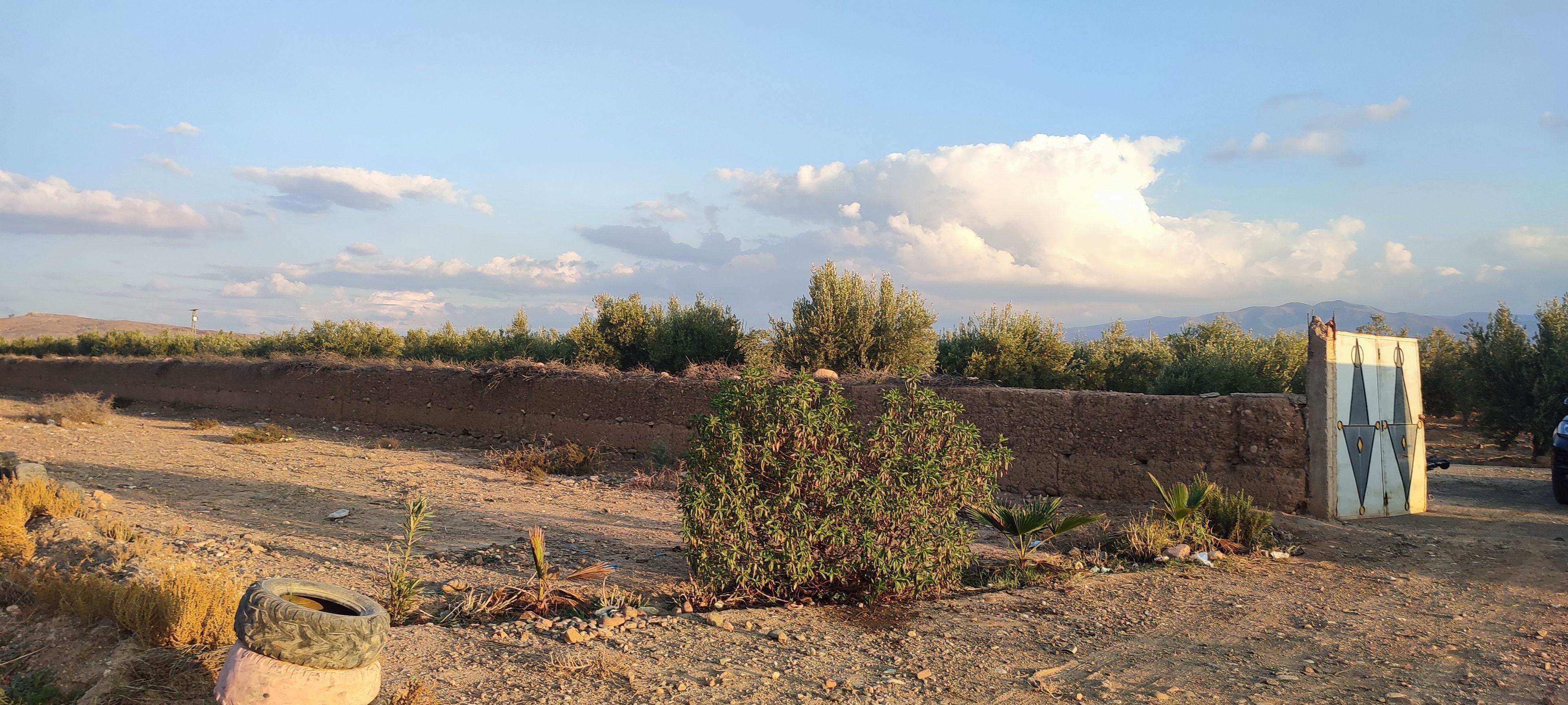 أرض — Marrakech — 2