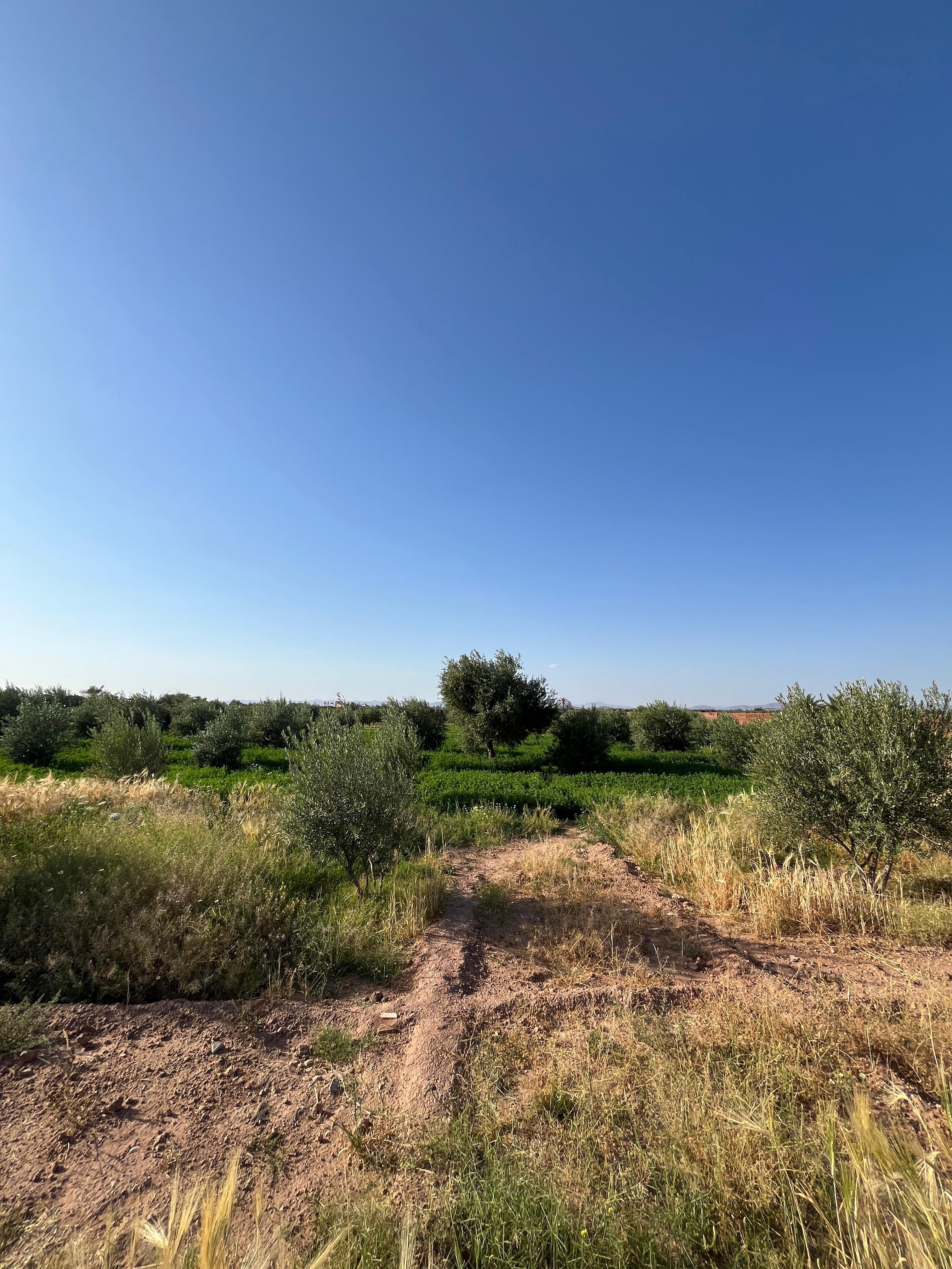 Villa 22170 m² f Route De Fes - Oulad Jelal — 4