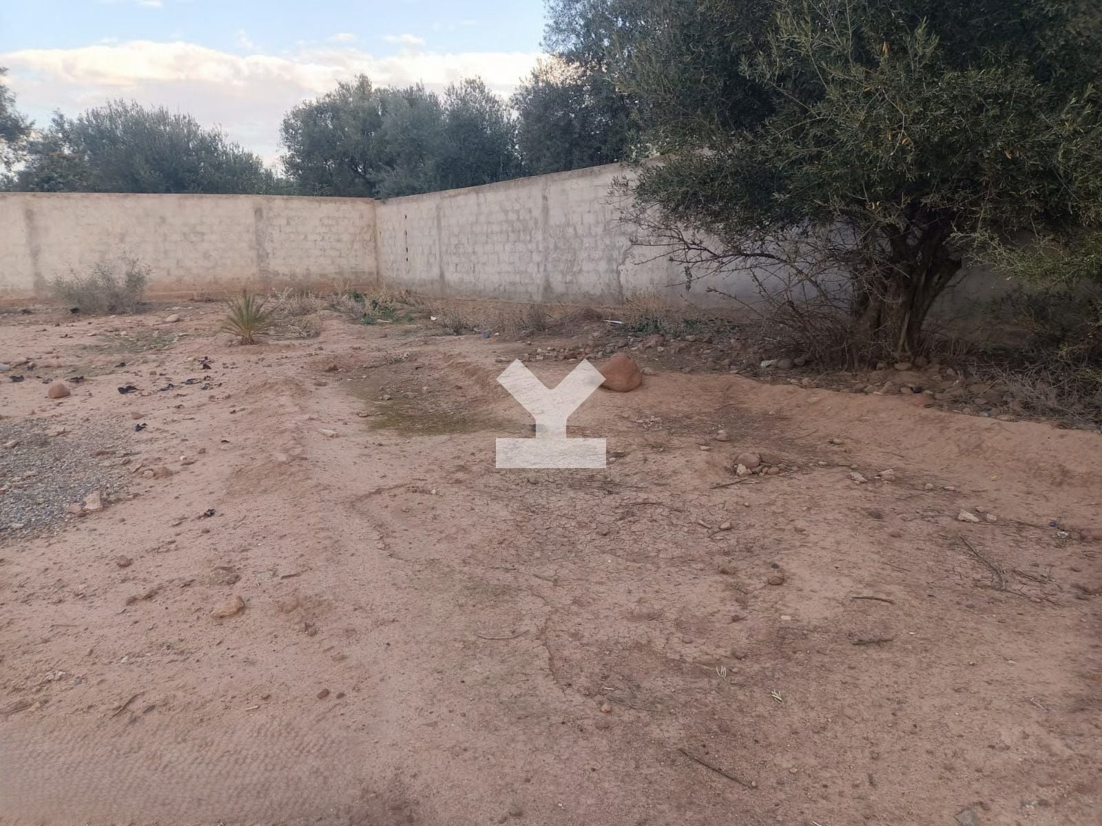 Terrain — Marrakech