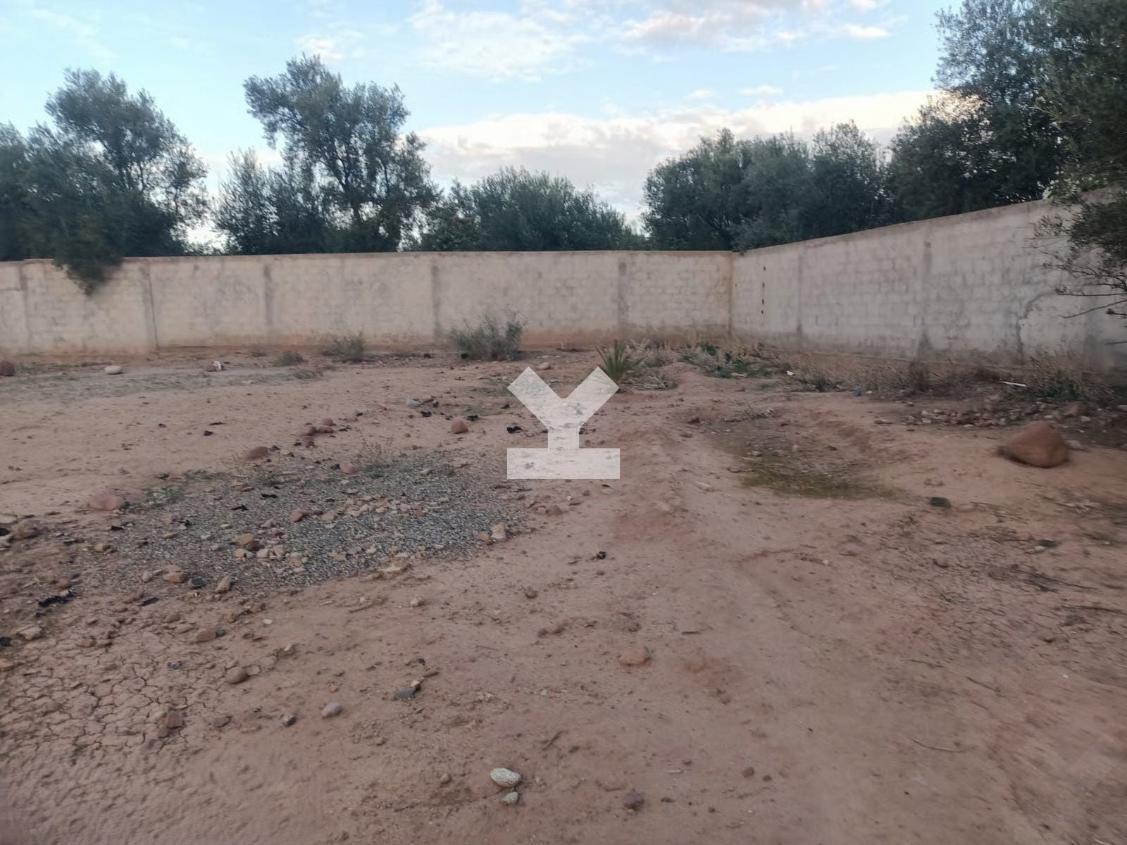 Terrain — Marrakech — 6