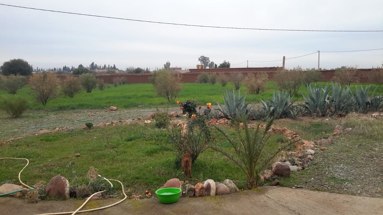 أرض — Marrakech — 2
