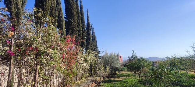 Villa 10732 m² f Route De Ouarzazat — 24