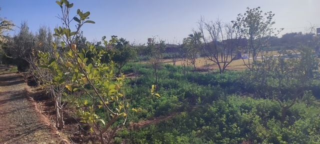 Villa 10732 m² f Route De Ouarzazat — 7