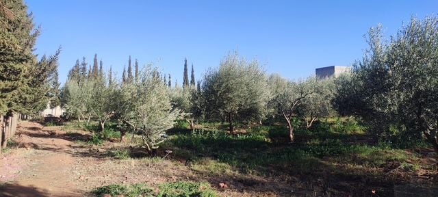 Villa 10732 m² f Route De Ouarzazat — 13