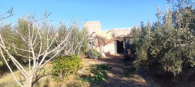 Villa 10732 m² f Route De Ouarzazat — 22
