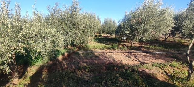 Villa 10732 m² f Route De Ouarzazat — 14