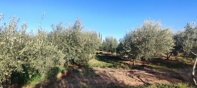Villa 10732 m² f Route De Ouarzazat — 3