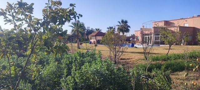 Villa 10732 m² f Route De Ouarzazat — 15