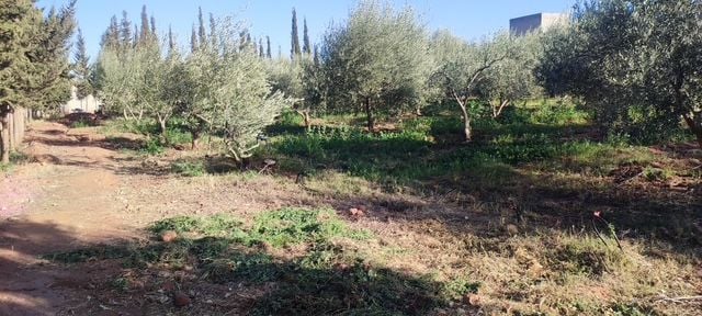 Villa 10732 m² f Route De Ouarzazat — 16