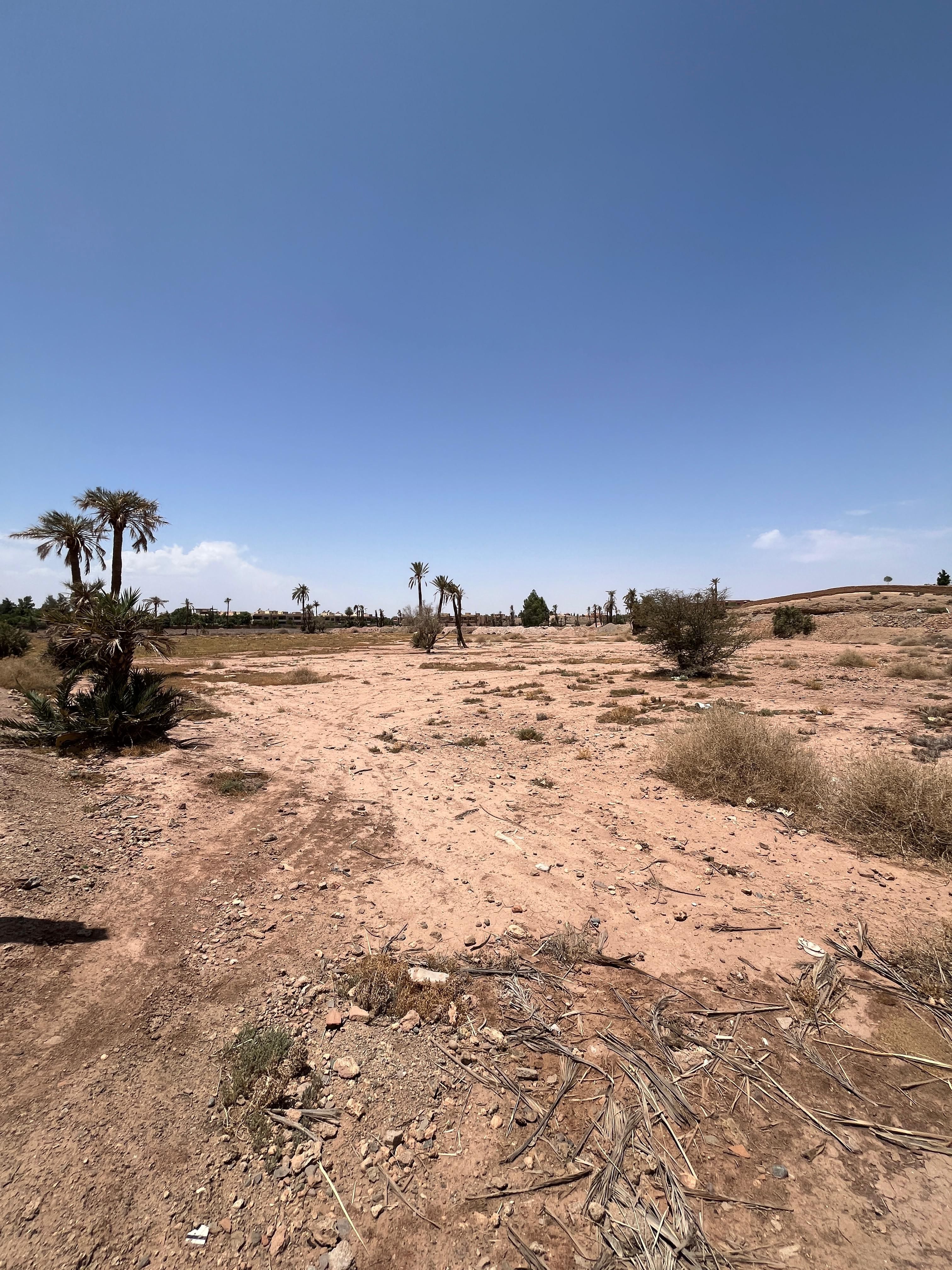 Terrain — Marrakech