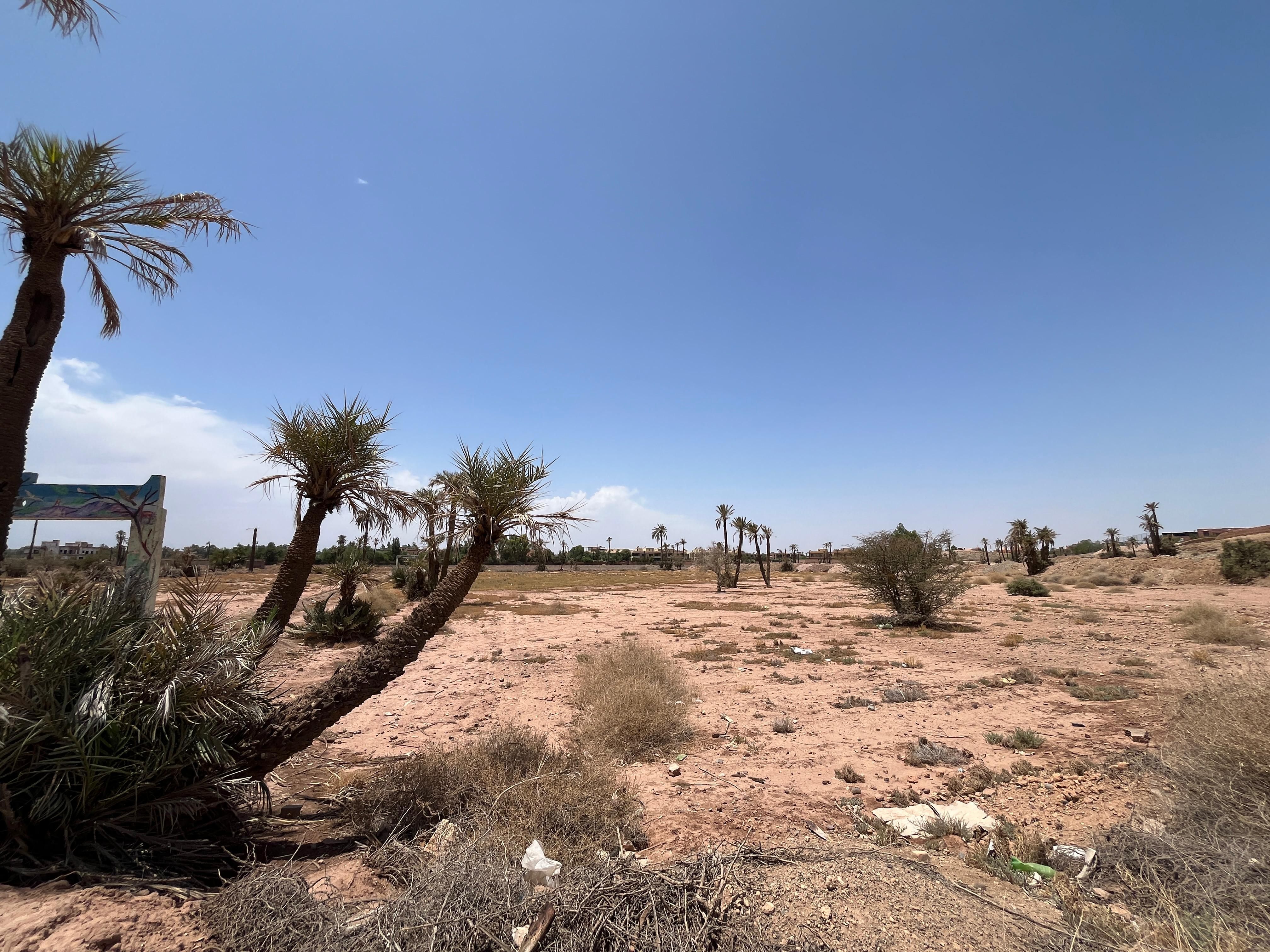 Terrain — Marrakech — 4