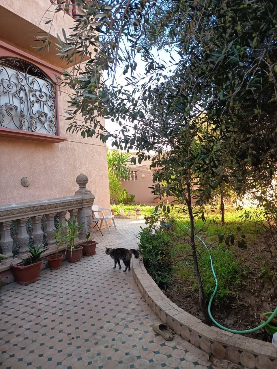 Villa 424 m² f Amerchich — 8