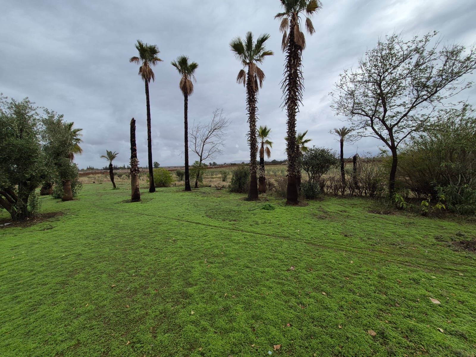 Villa — Marrakech — 3