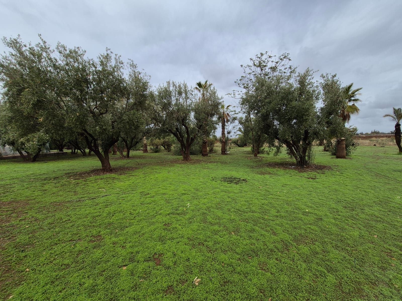 Villa 34852 m² f Route De L'Ourika (Agdal) — 11