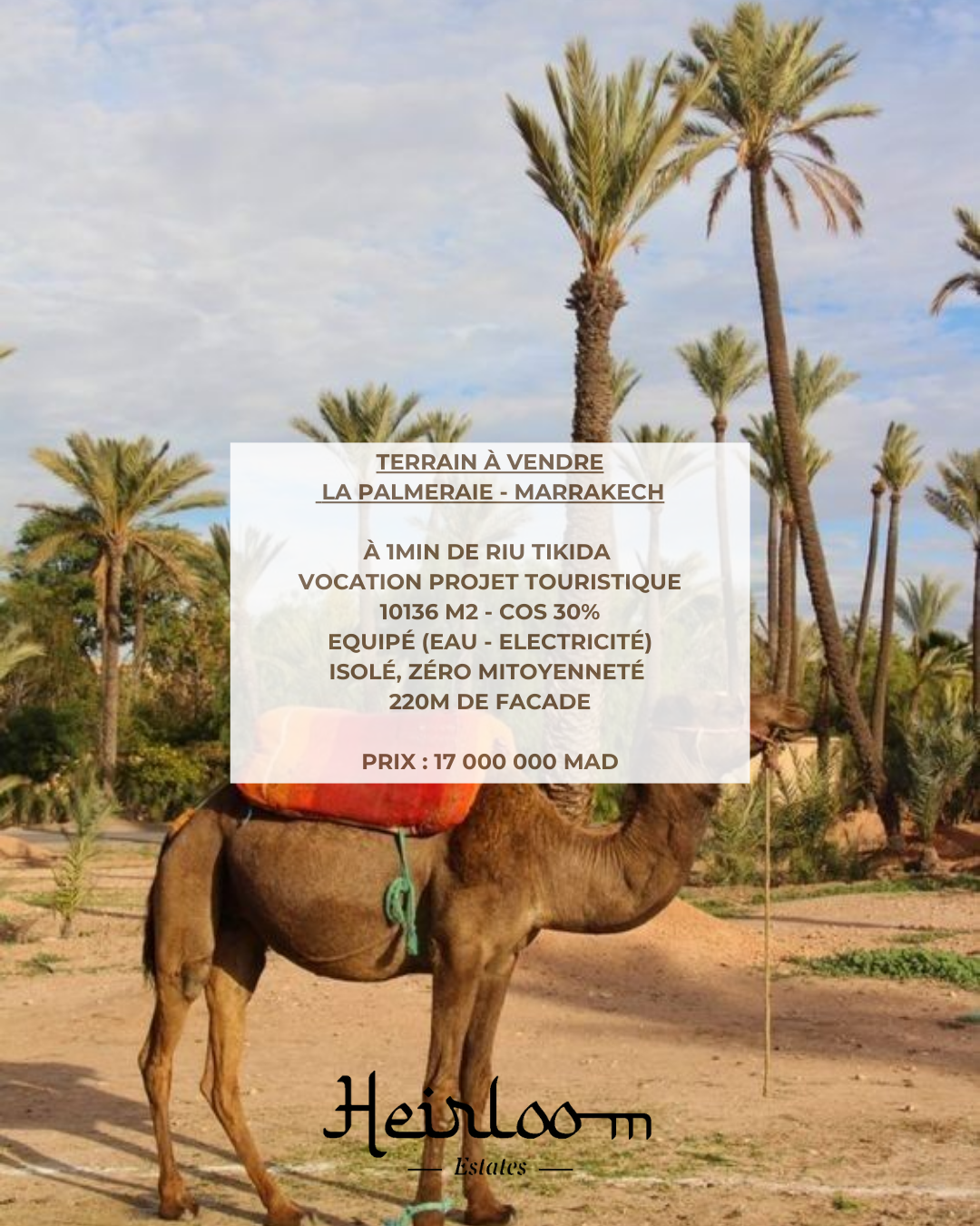 Terrain — Marrakech