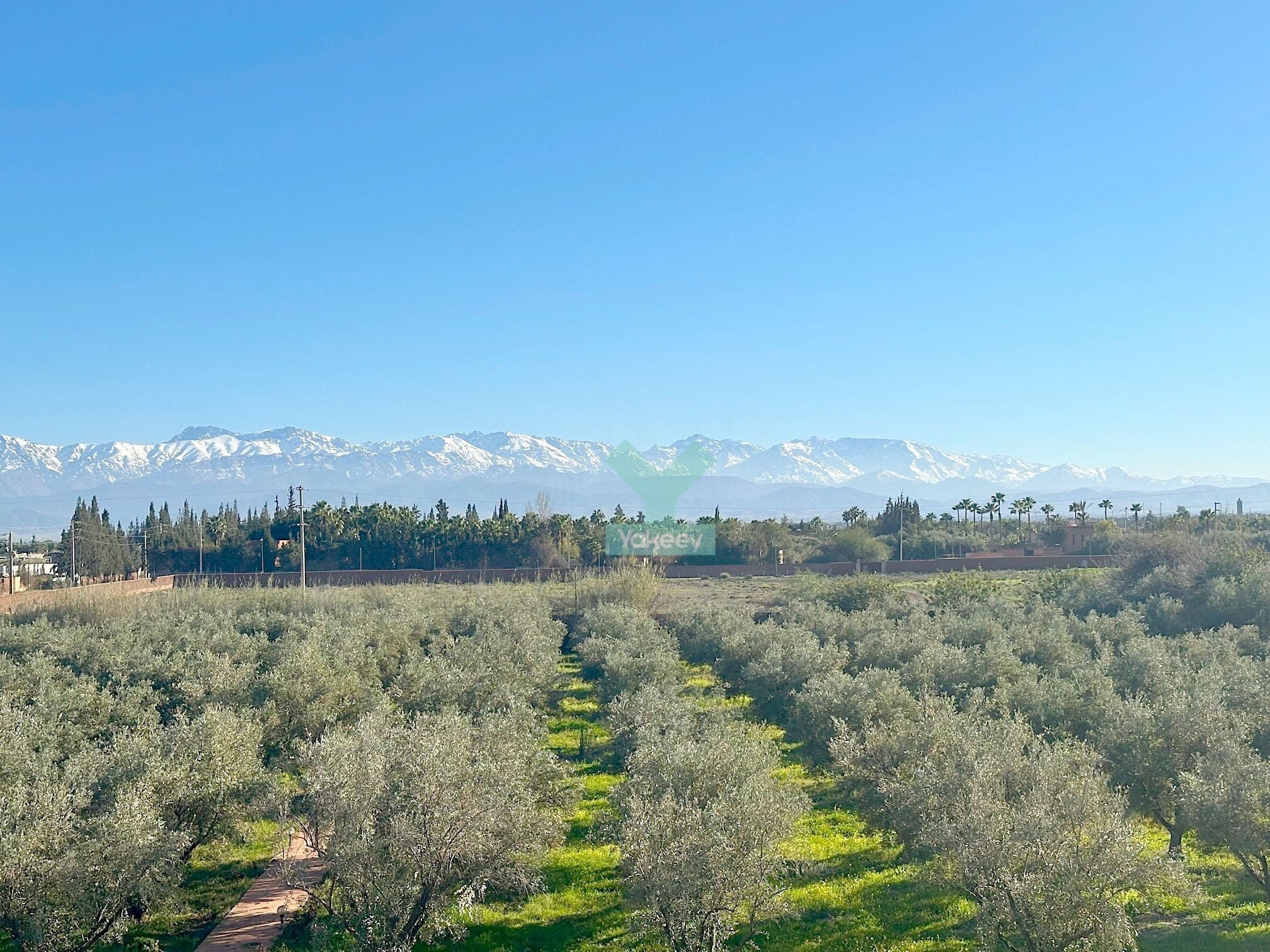 Villa 12750 m² à Route De L'Ourika (Tassoultante) — 10
