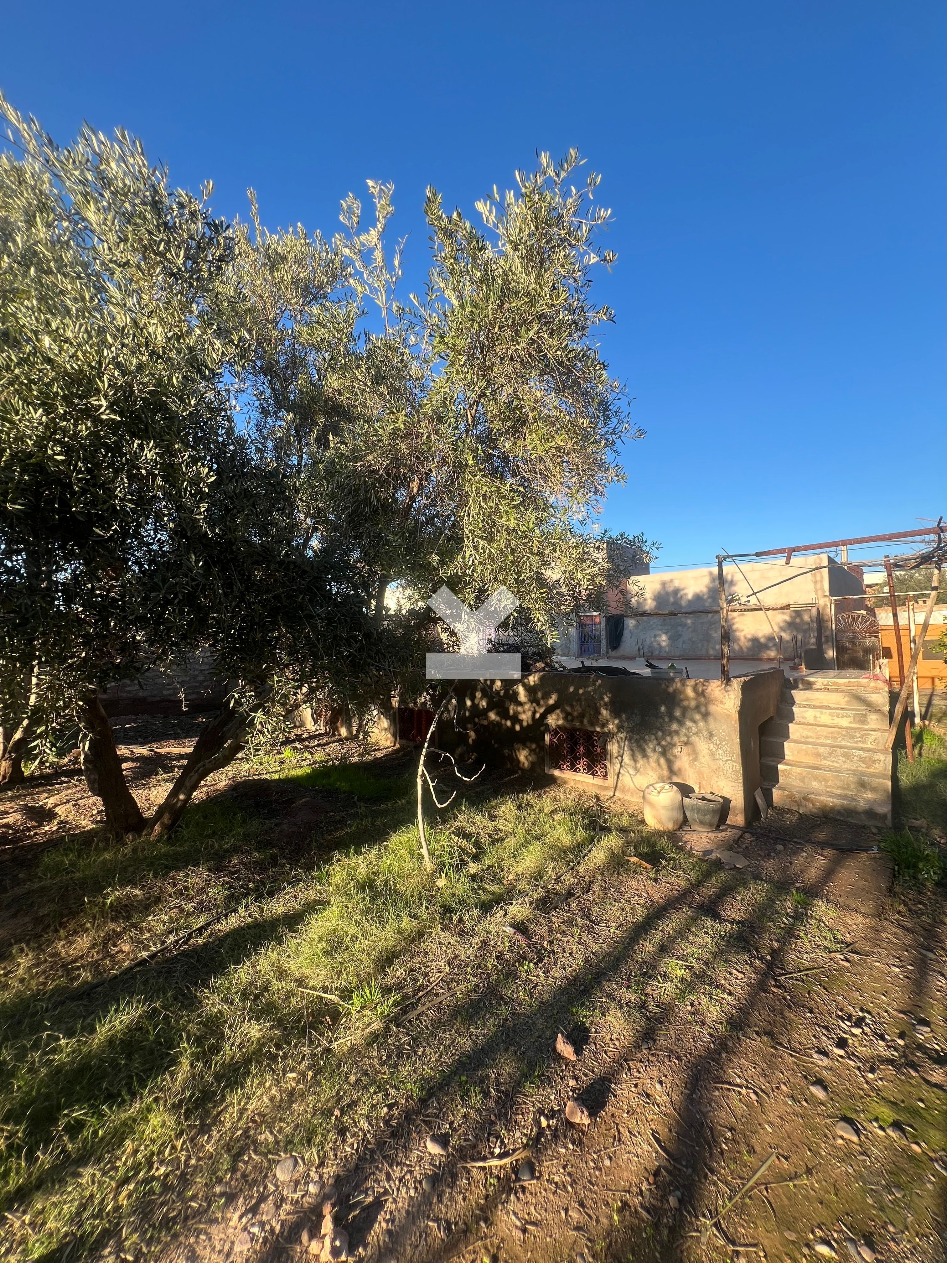 Terrain — Marrakech — 4