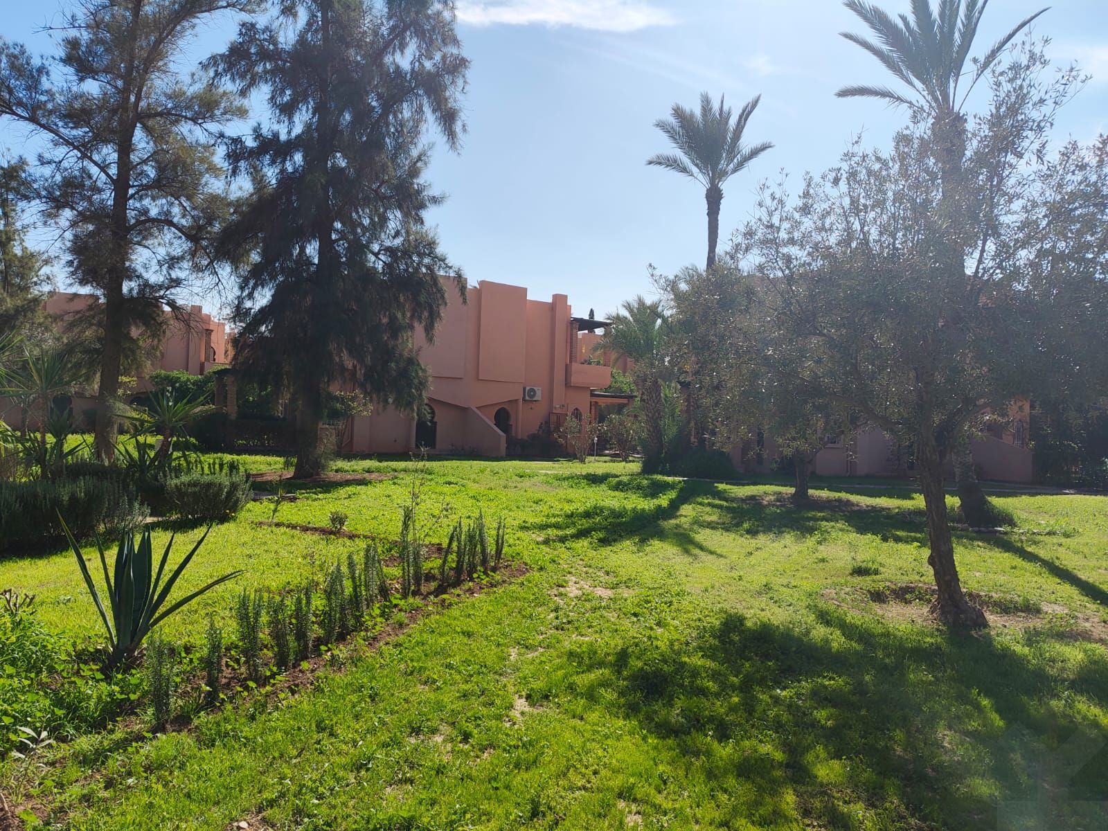 Villa 172 m² à Palmeraie Extension — 20