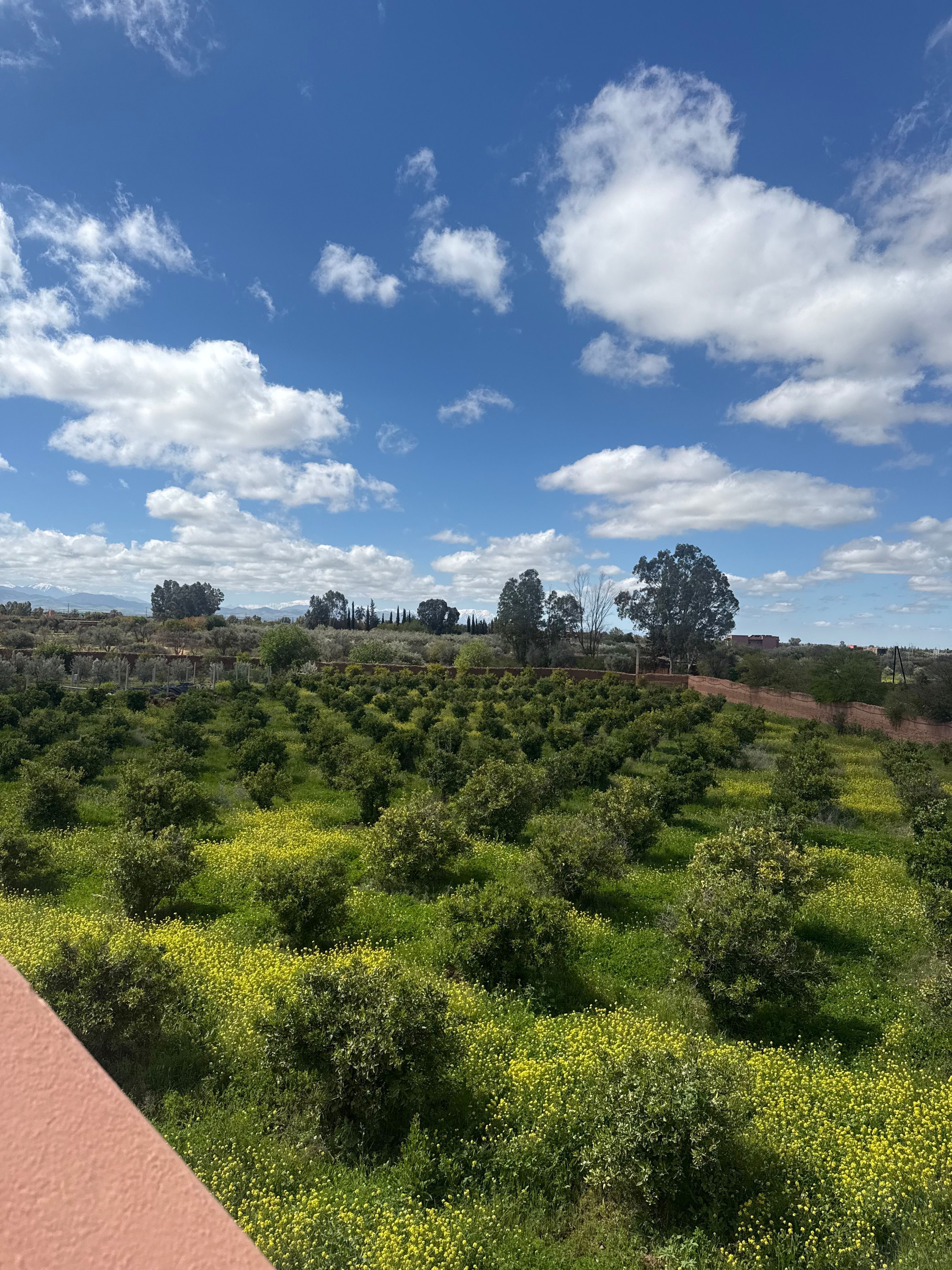 Villa 20875 m² à Route De L'Ourika (Sidi Abdellah Ghiat) — 18