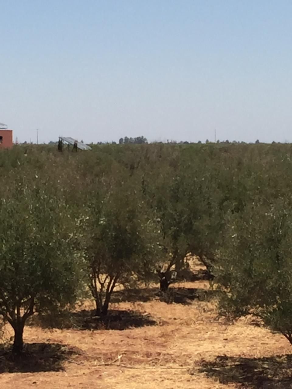 منزل — Marrakech — 2