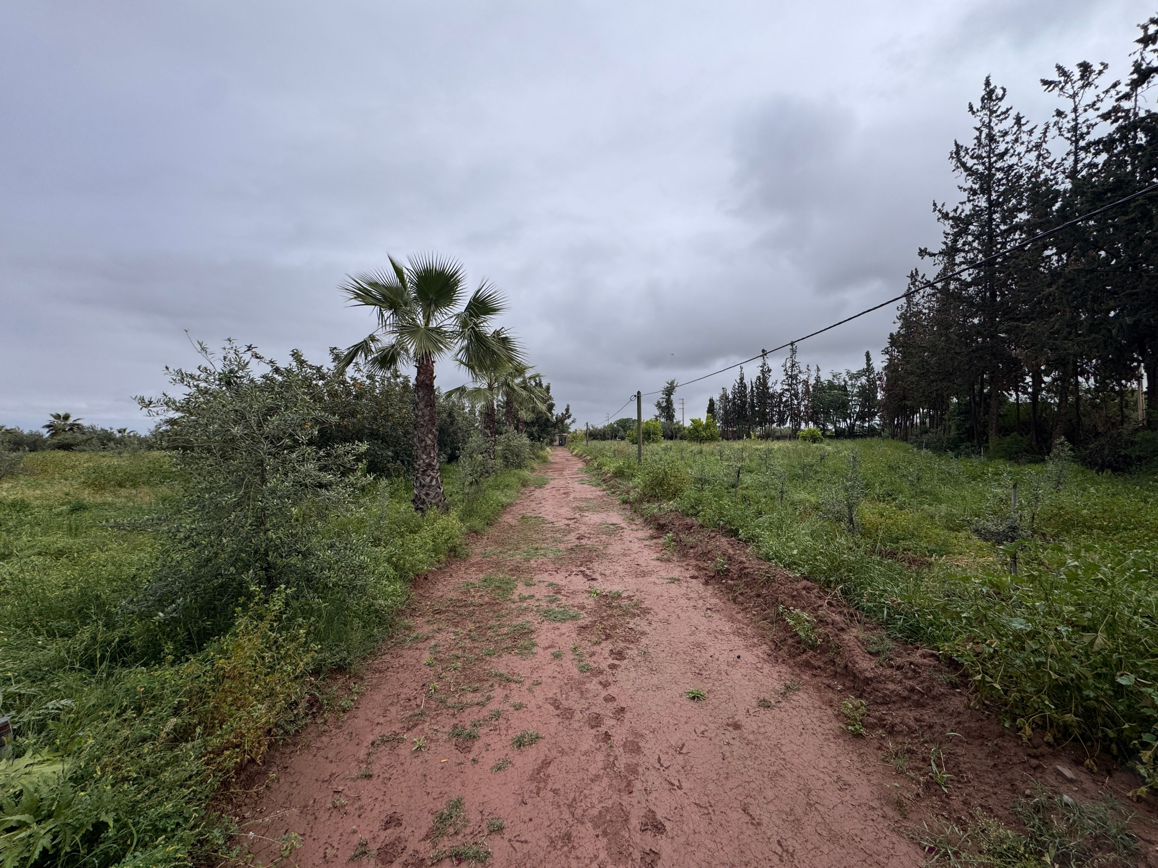 Maison — Marrakech