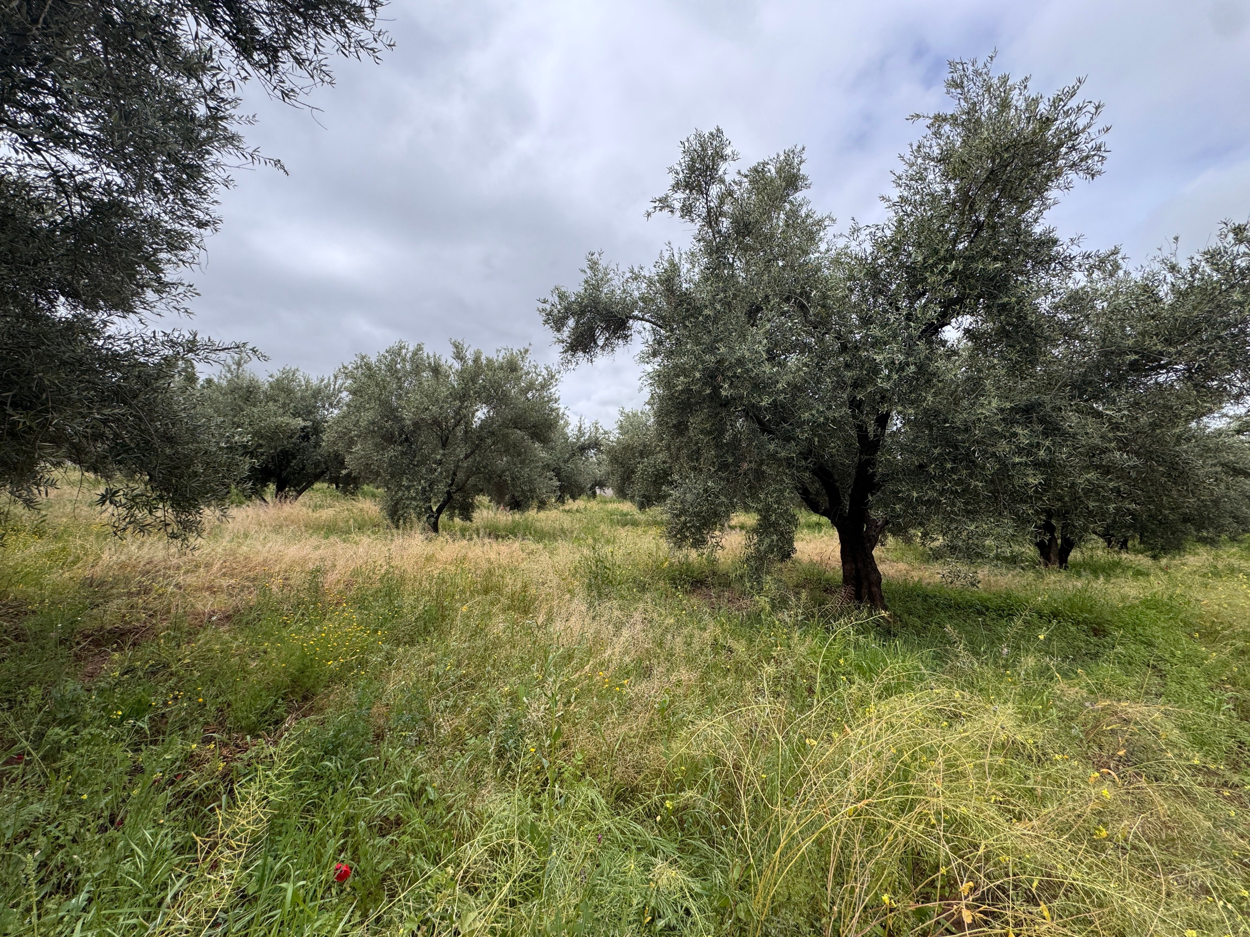 Terrain 10850 m² f Route De Fes — 7