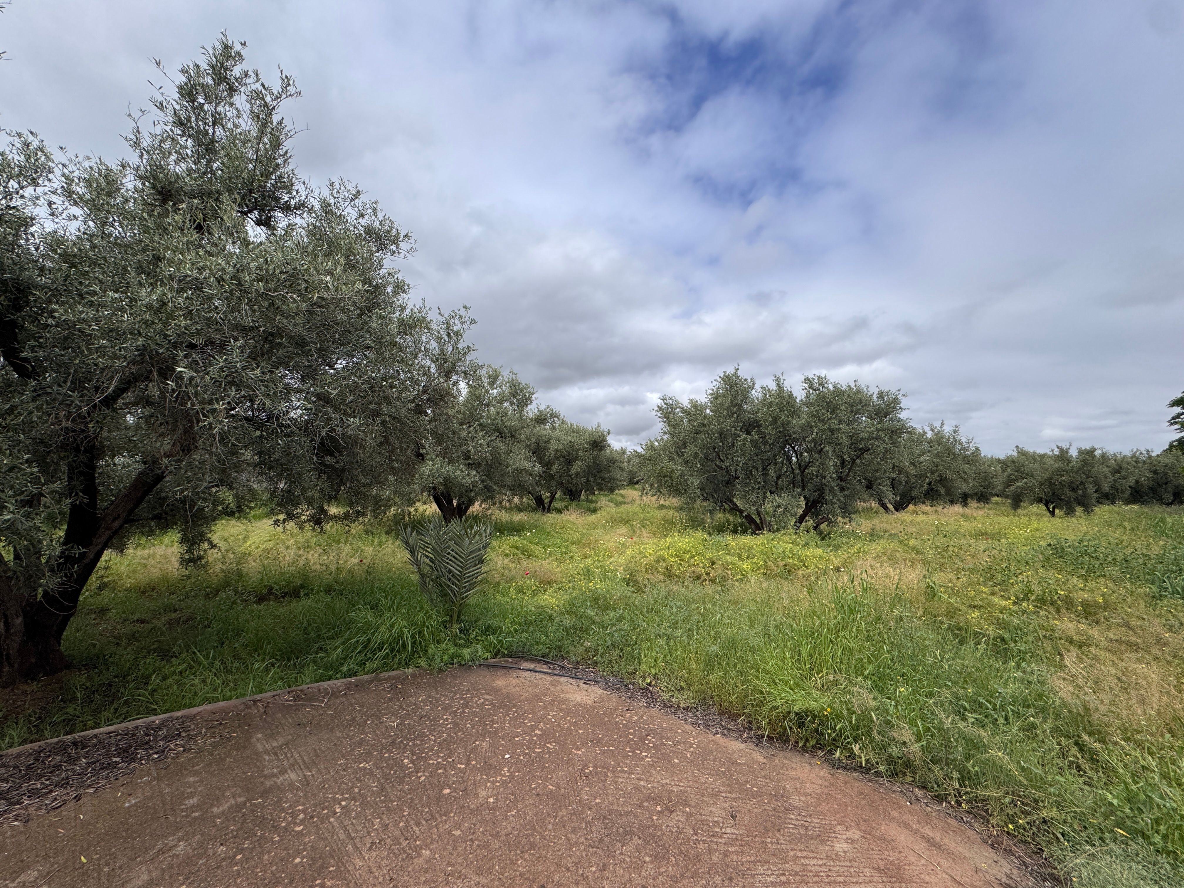 Terrain — Marrakech — 2