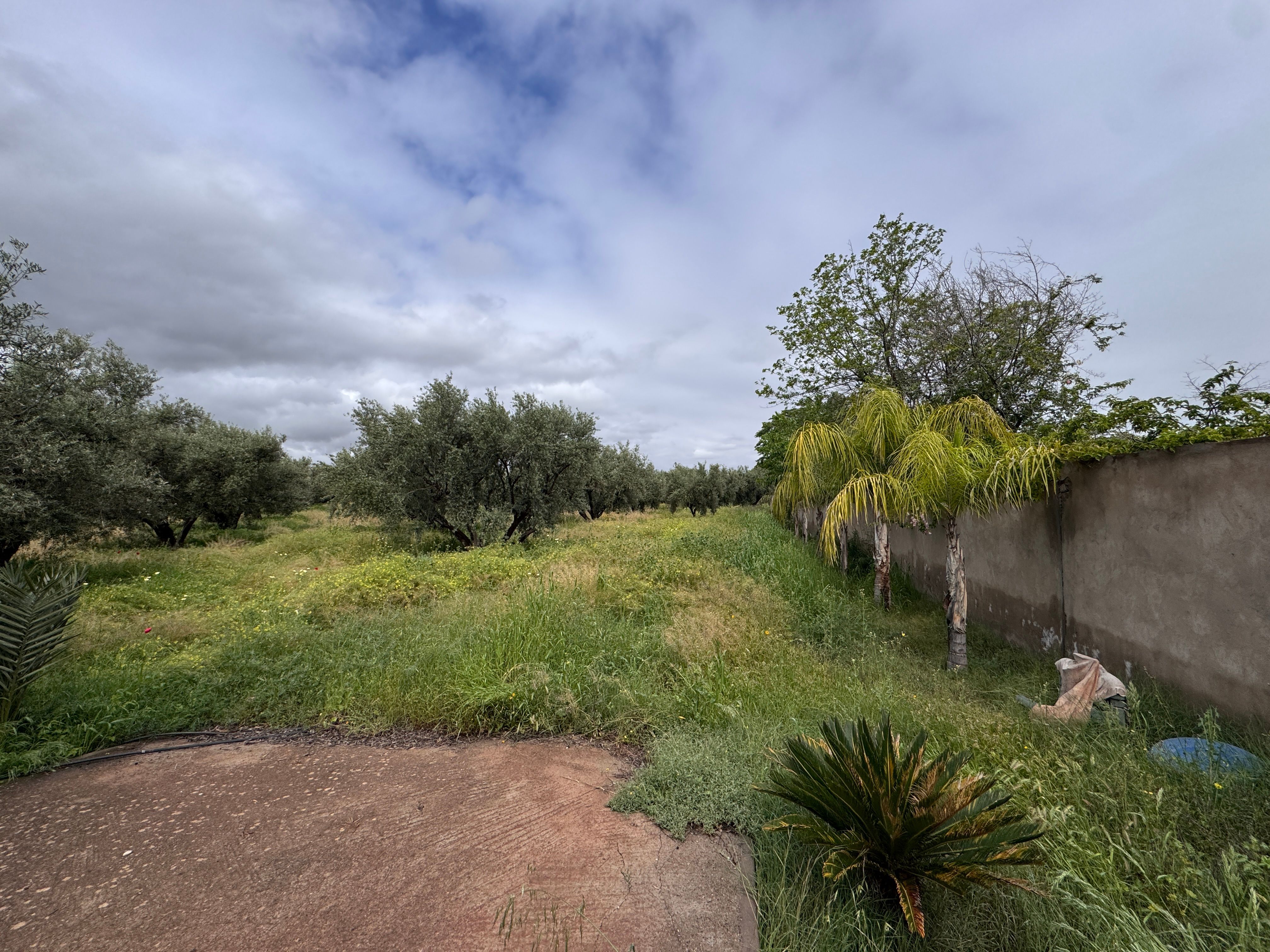 Terrain — Marrakech