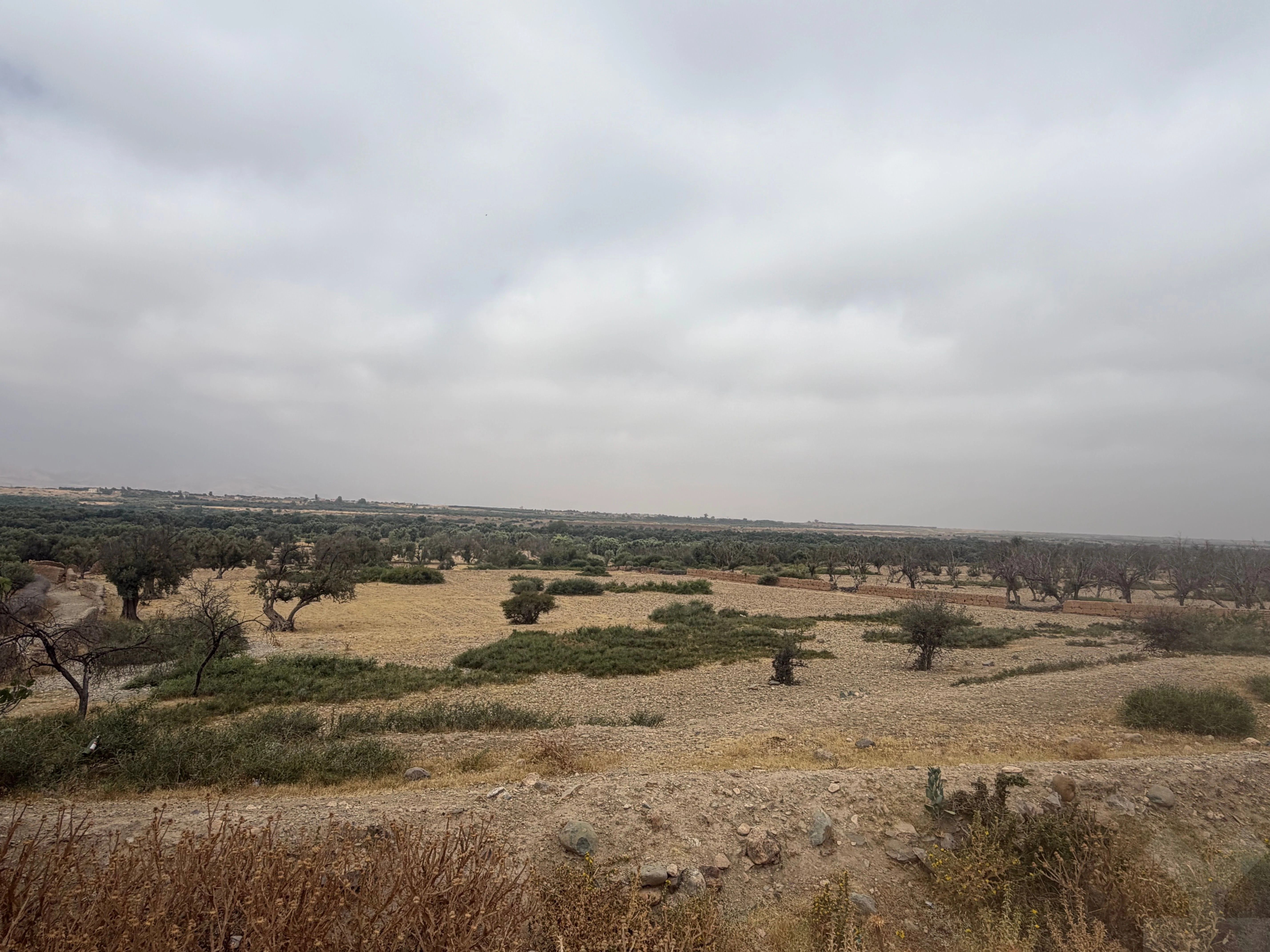 Terrain — Marrakech — 4