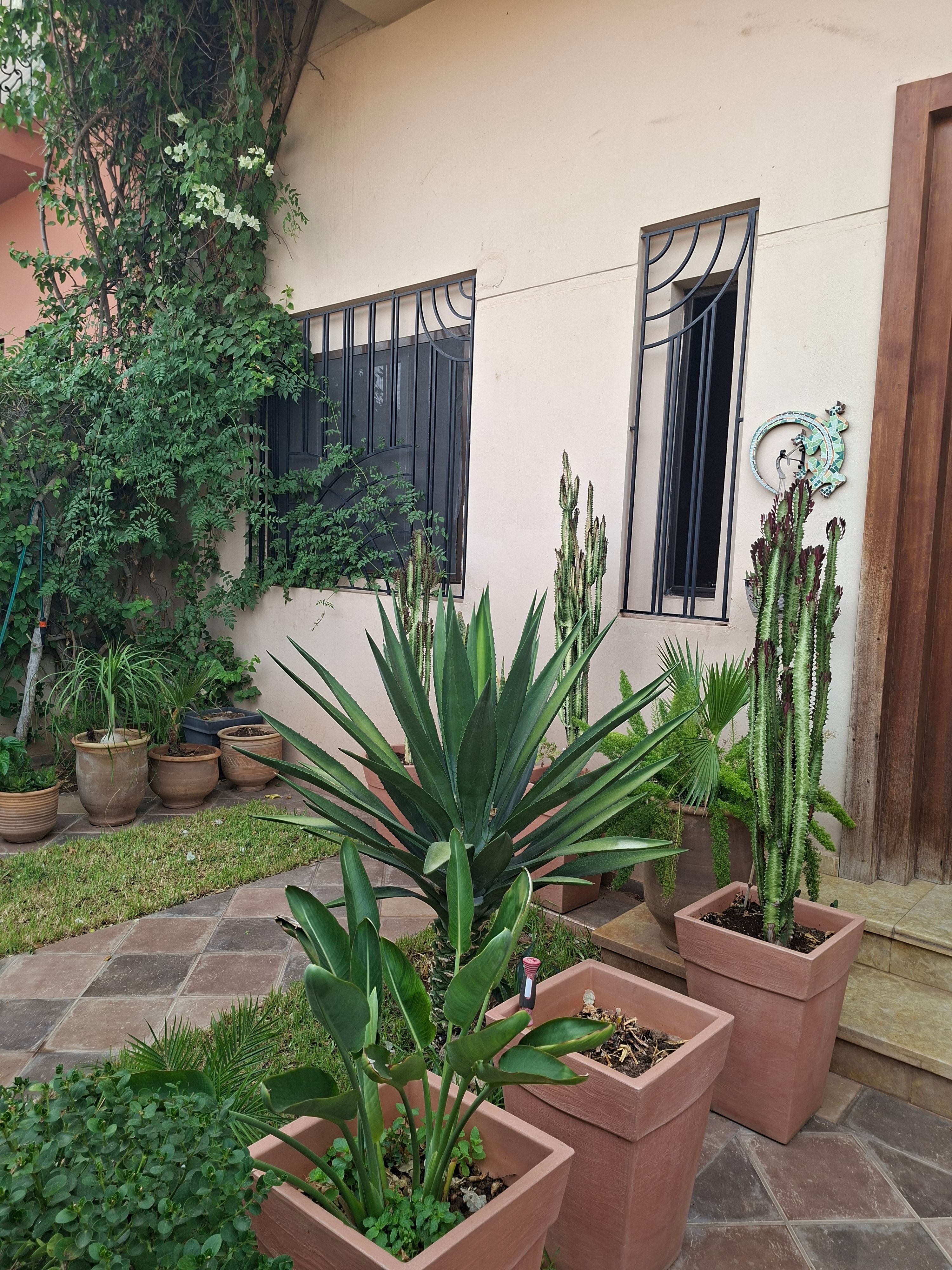 فيلا — Marrakech — 6