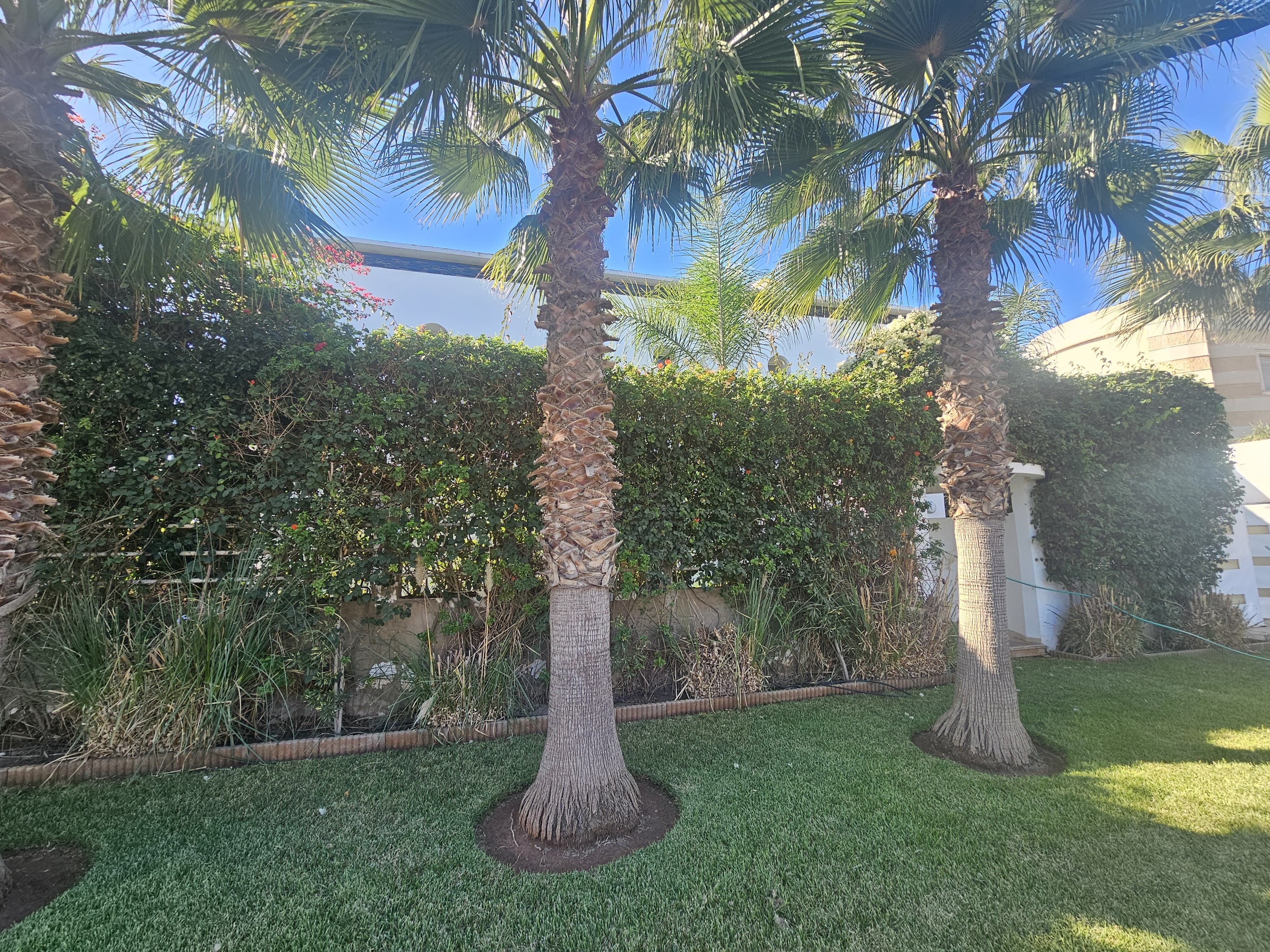 Villa 753 m² à Nouaceur — 23