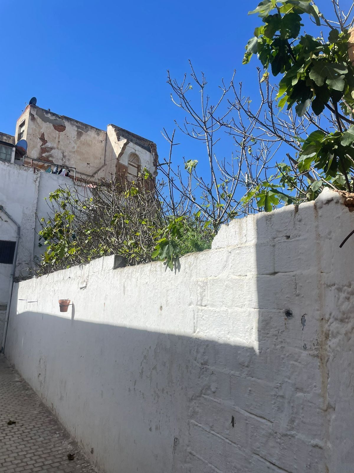Terrain 125 m² f Quartier Allaymoun — 16