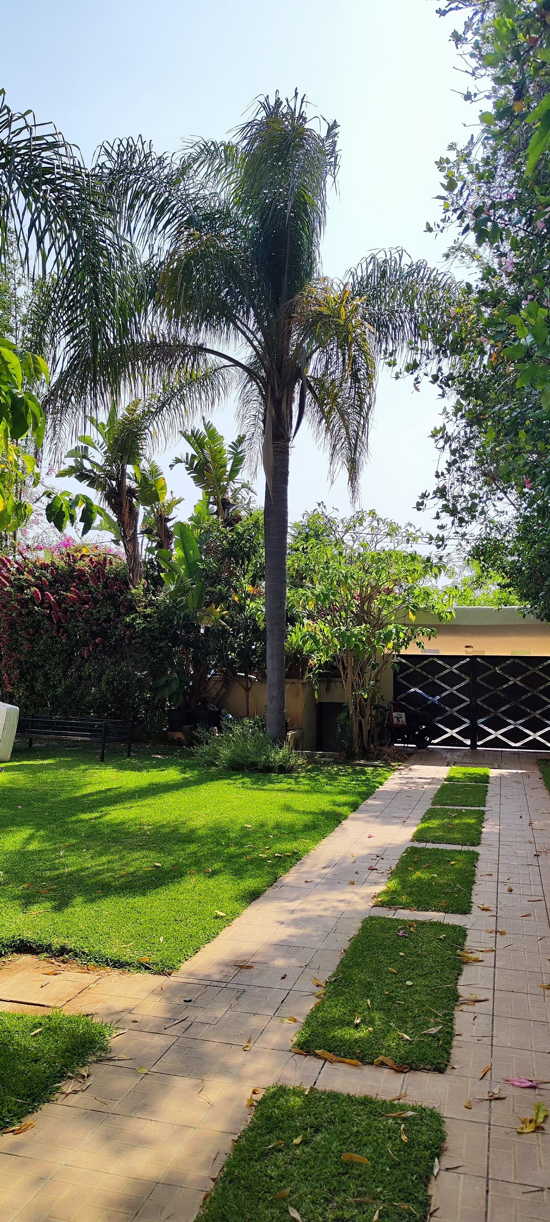 Villa 1803 m² à Quartier Des Ambassades — 11