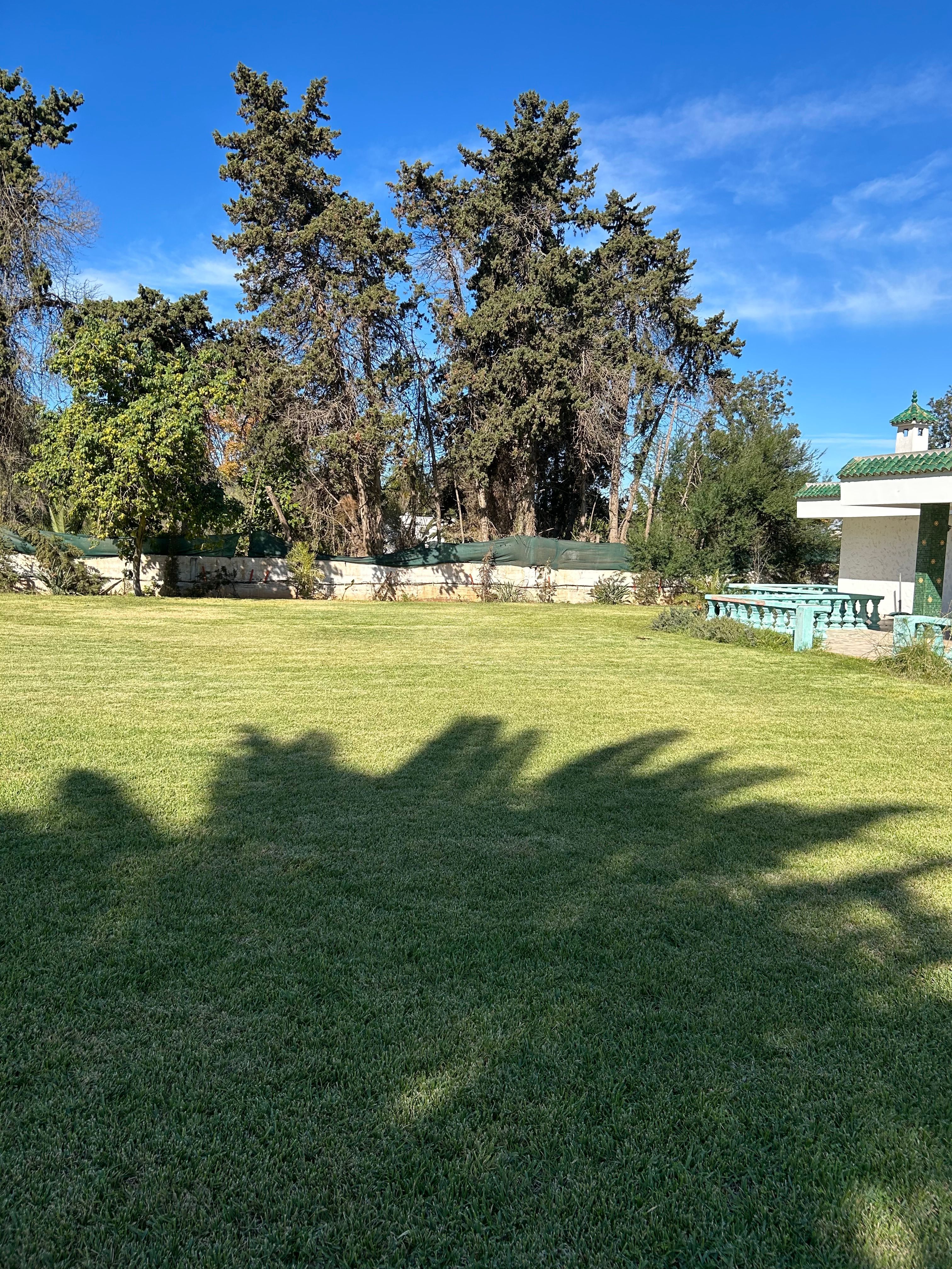 Villa 3742 m² à Souissi — 10