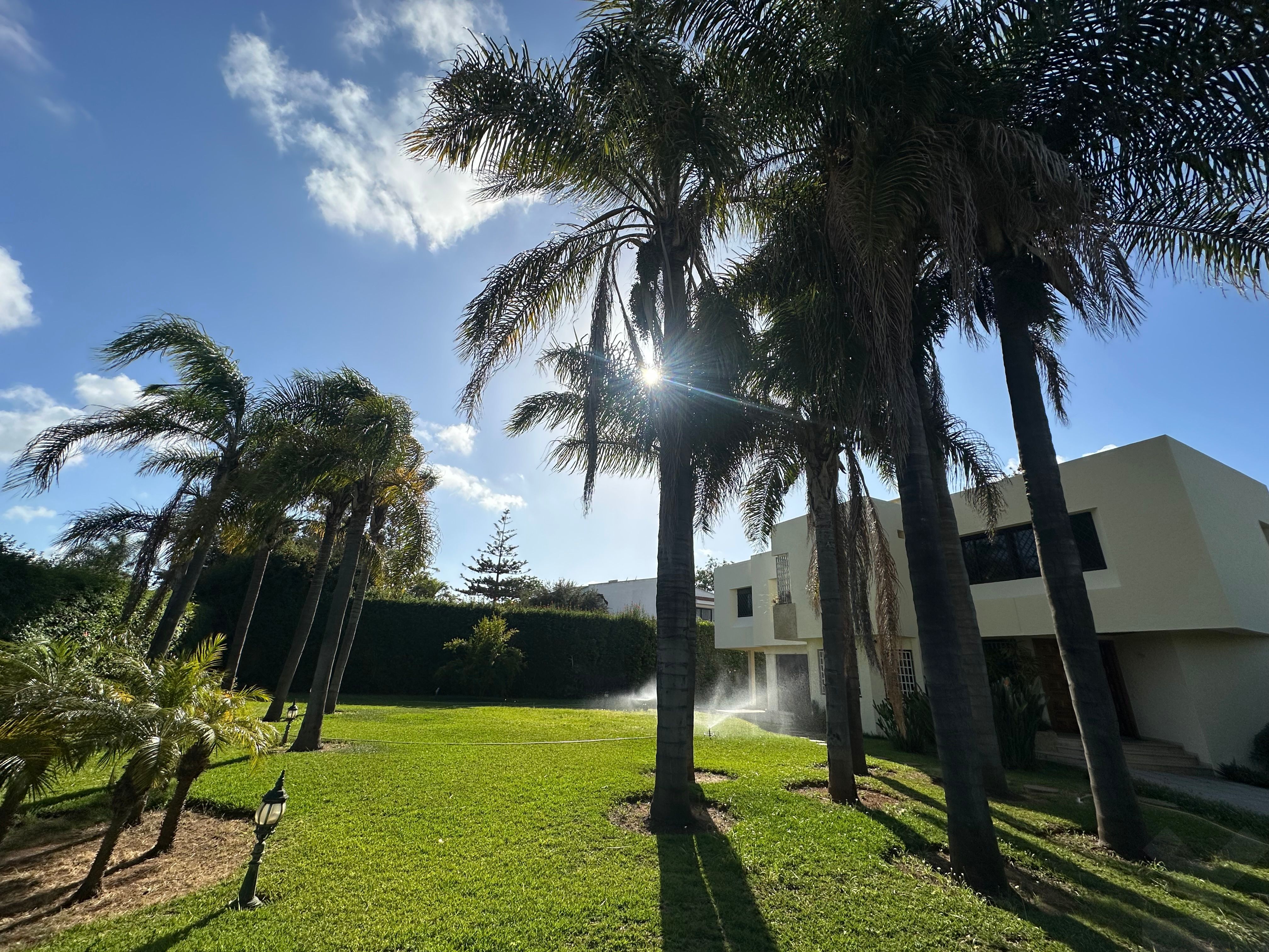 Villa 1869 m² à Bir Kacem — 4