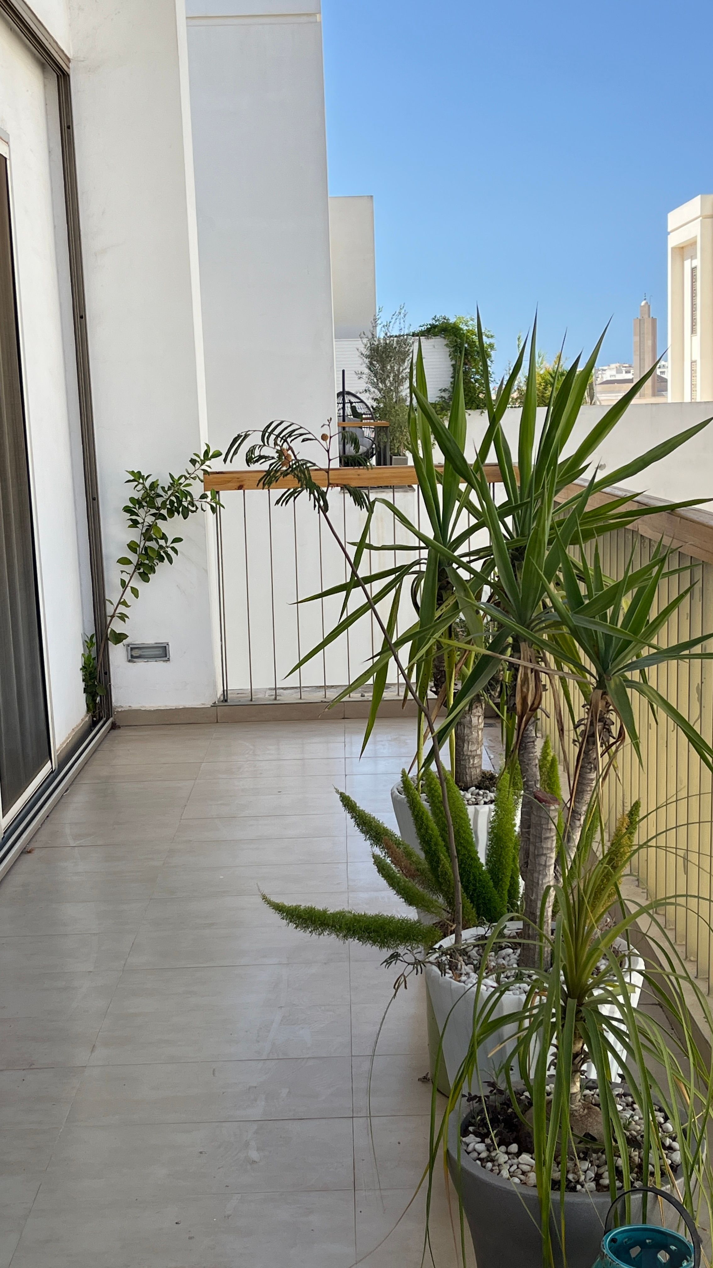 Appartement 217 m² à Bab Lemrissa — 5