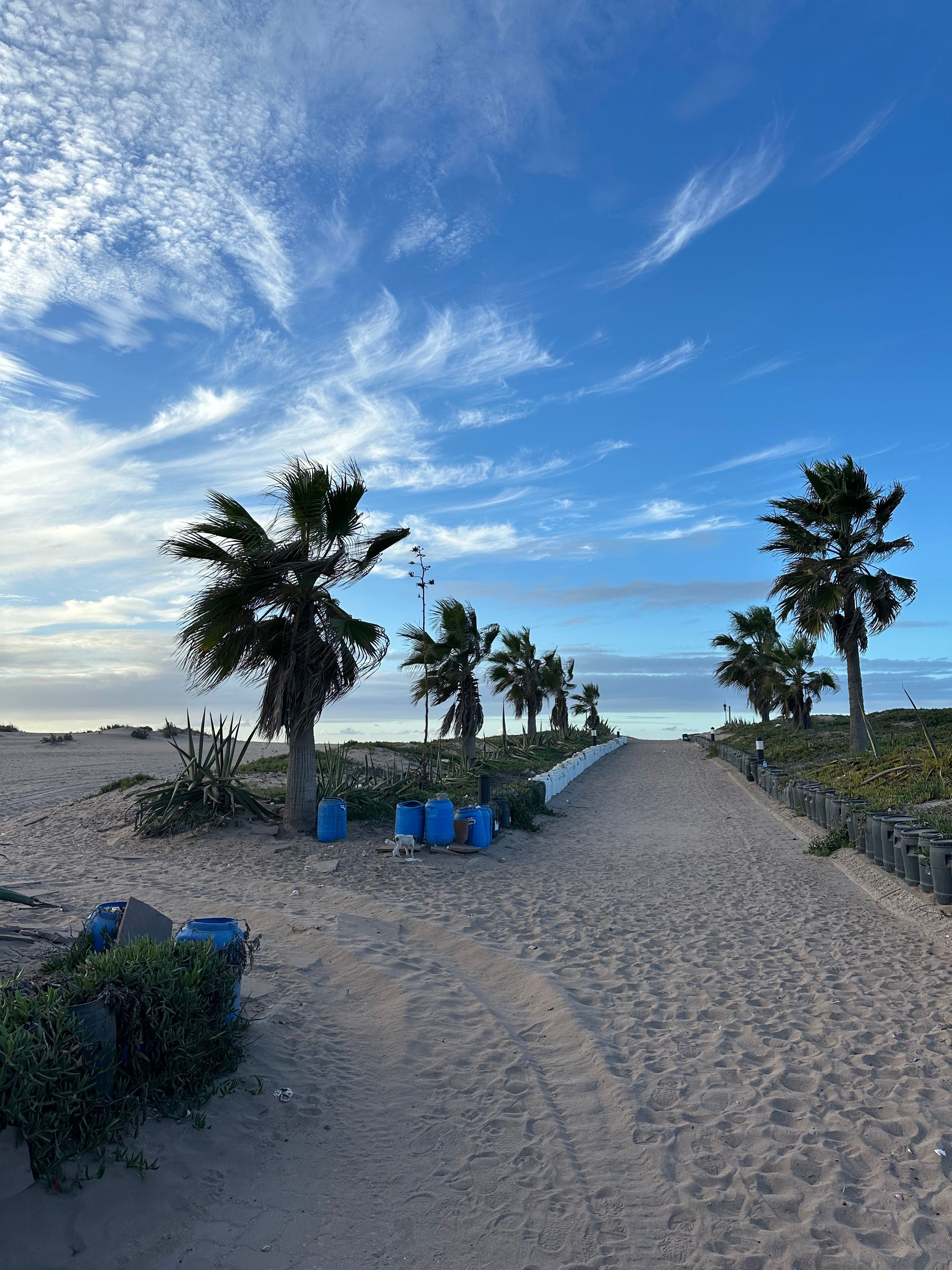 Appartement 81 m² à Plage De Sidi Rahal — 10