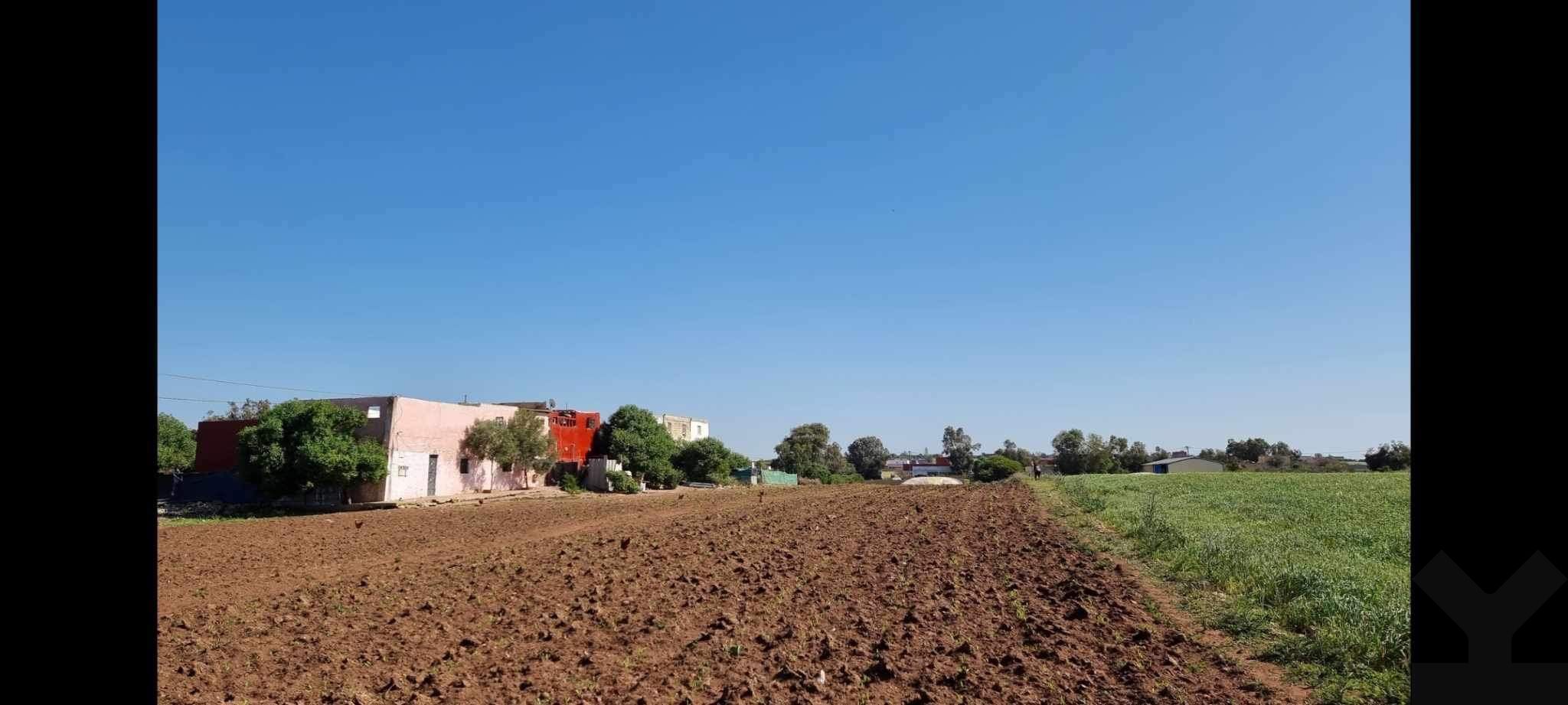 Terrain — Sidi Rahal — 2