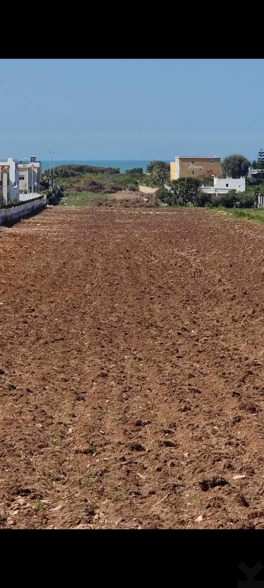 Terrain — Sidi Rahal — 3