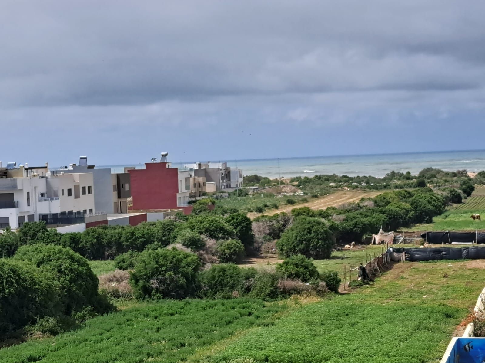 فيلا 118 م² في Garden Beach — 10