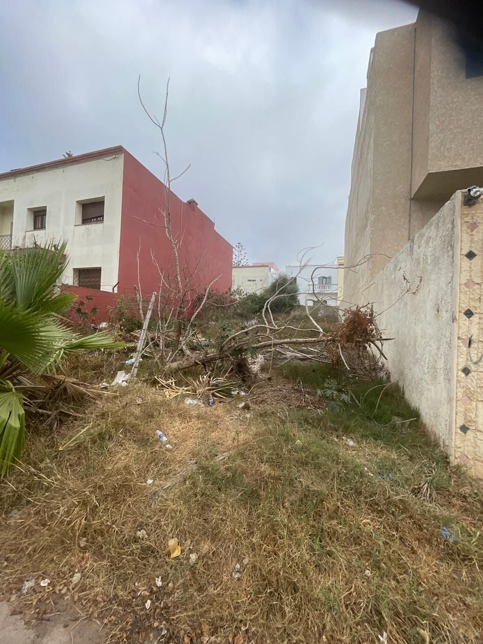 Terrain — Dar Bouazza — 3