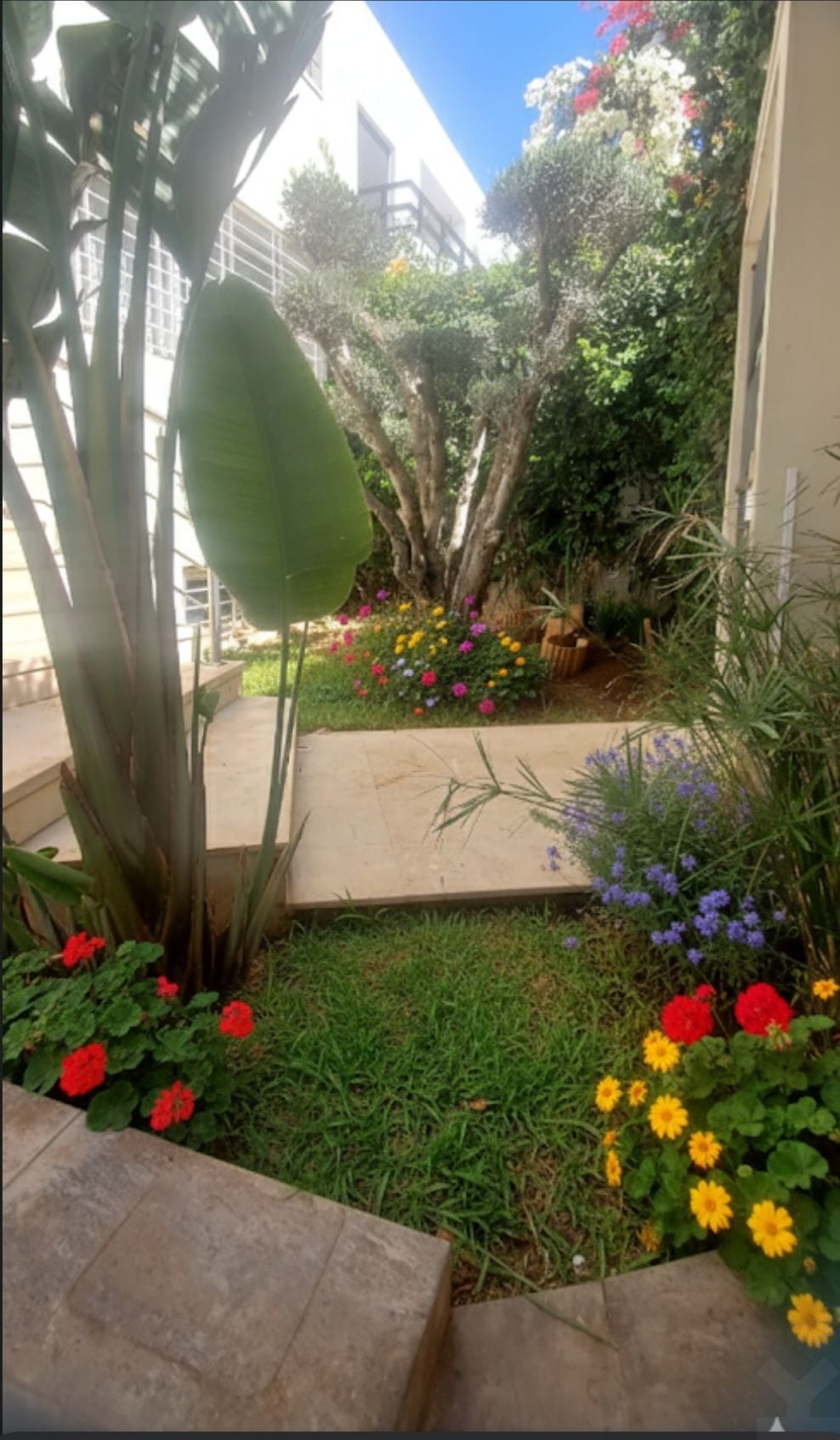 Villa 250 m² à Tamaris1 — 25