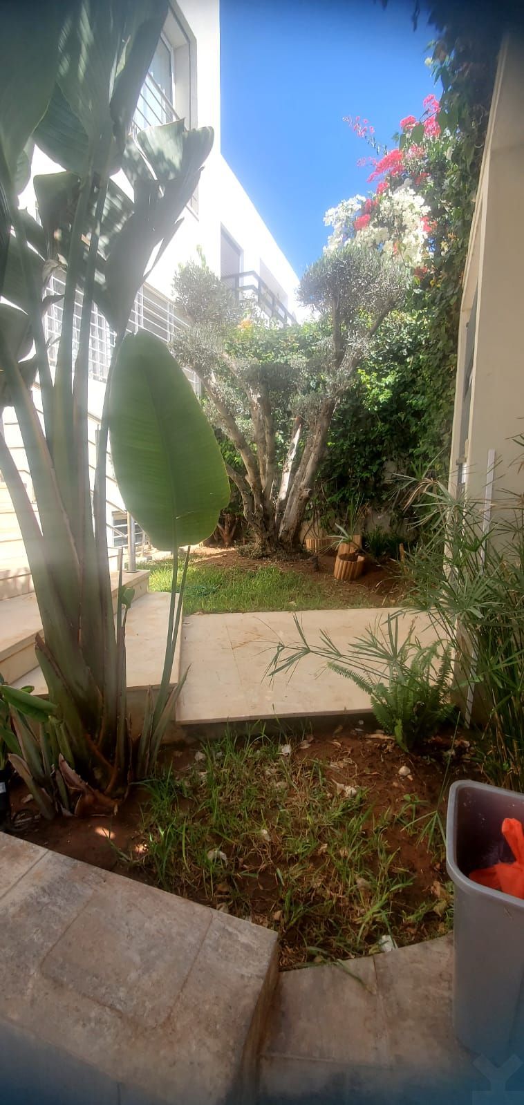 Villa 250 m² à Tamaris1 — 26