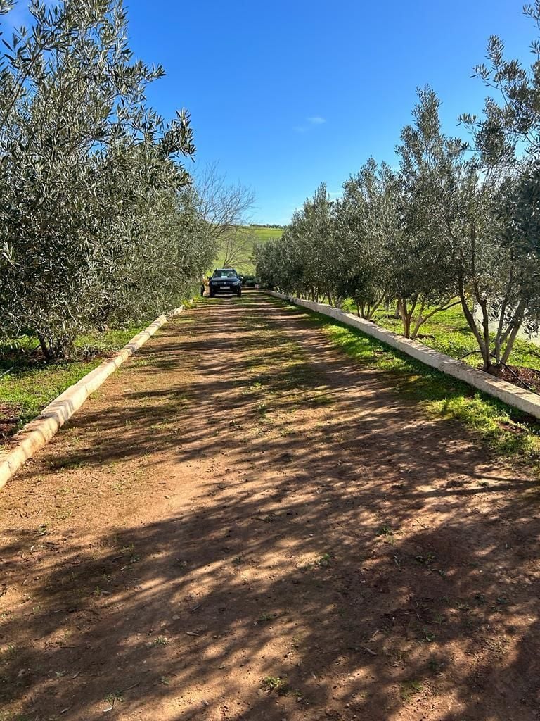 Terrain 9474 m² f Route De Khemisset — 9