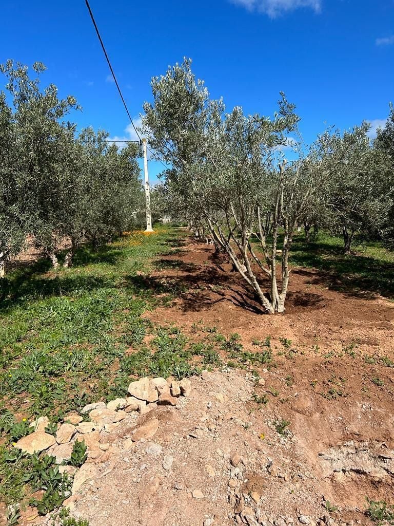 Terrain 9474 m² f Route De Khemisset — 11